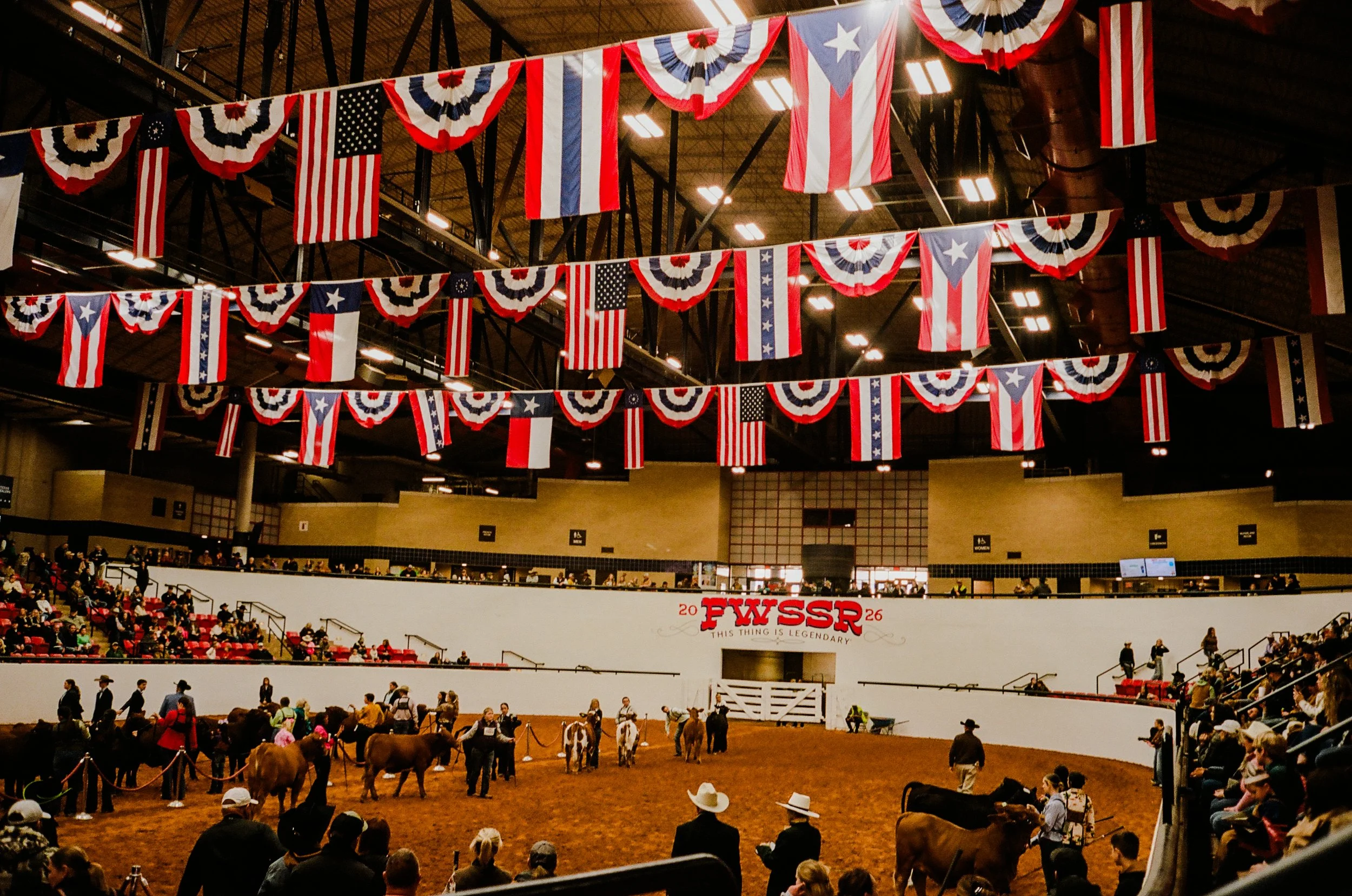 Book One - Connections