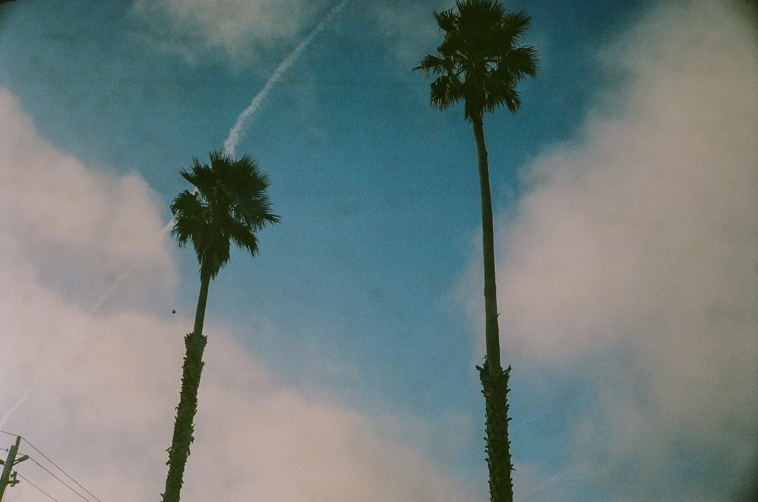 473522970011_10A.jpg