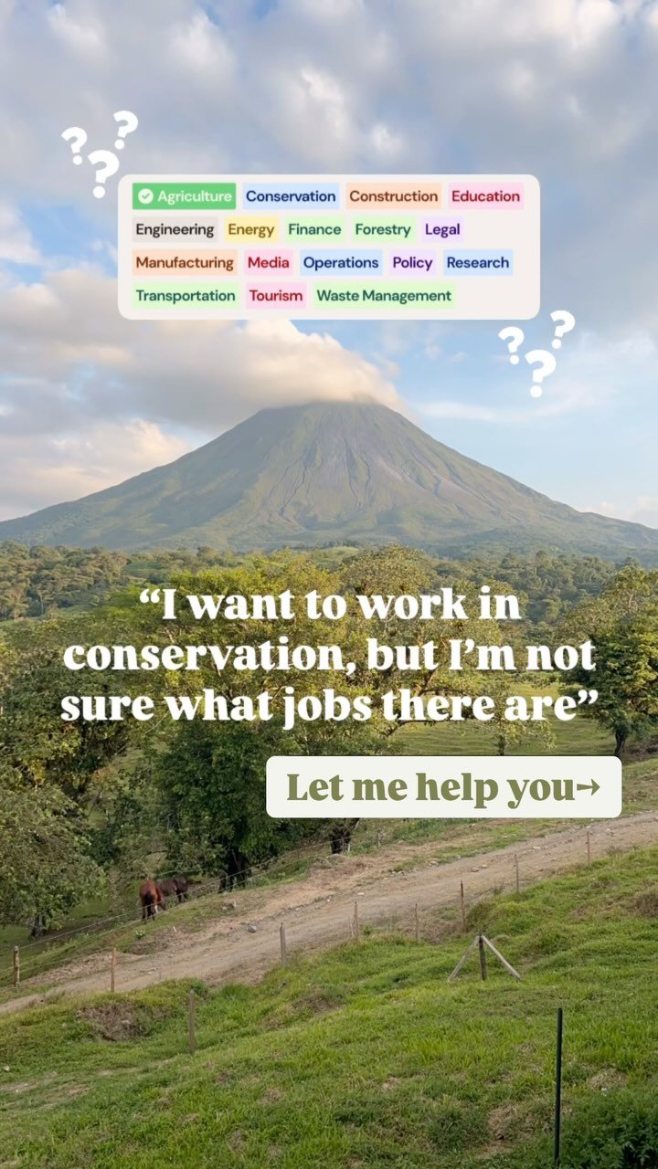 Slide 7