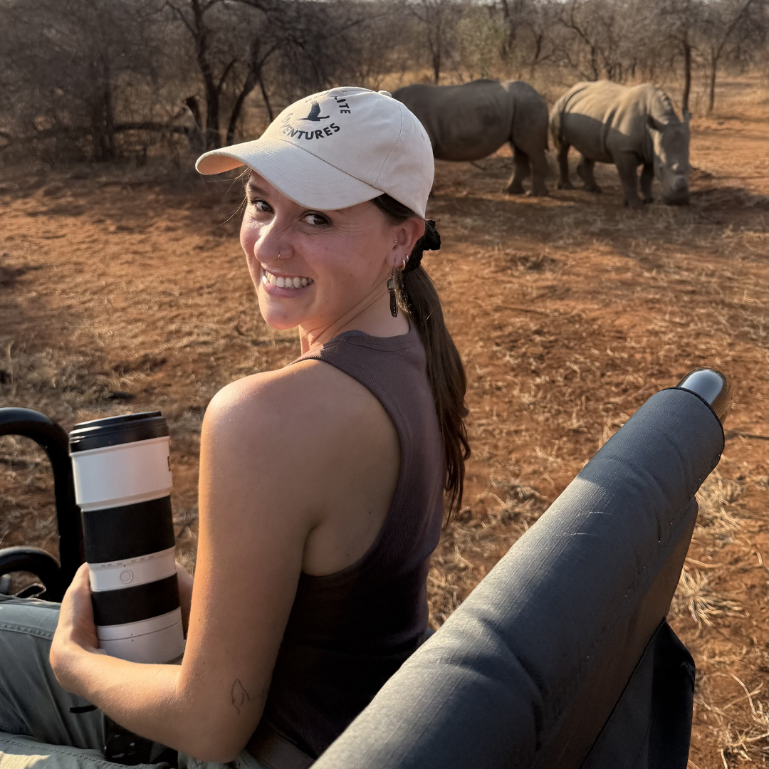 Text reading 'Adventure Awaits' with drawn sun, clouds, and birds.