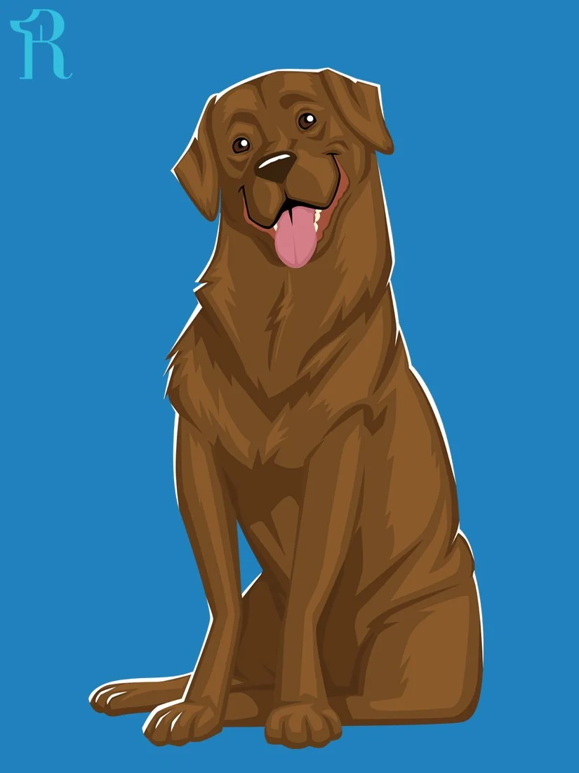 RUFFS Chocolate Lab