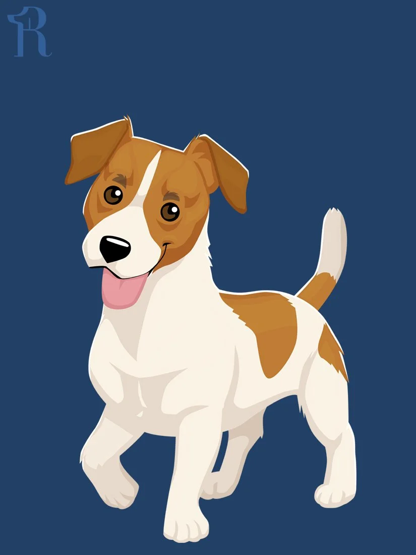 RUFFS Jack Russell Terrier