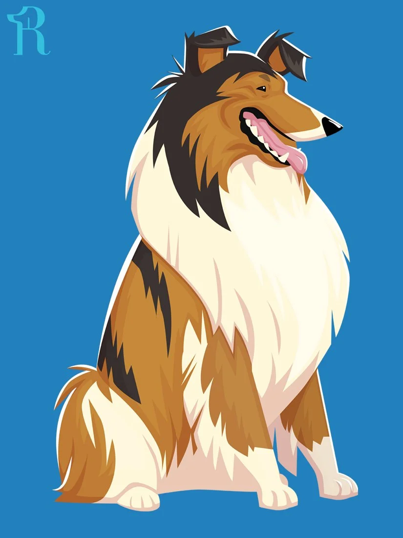 RUFFS Collie