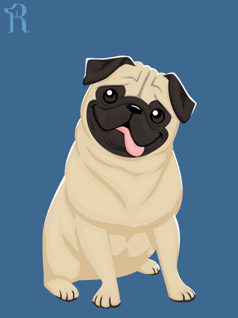 RUFFS Pug