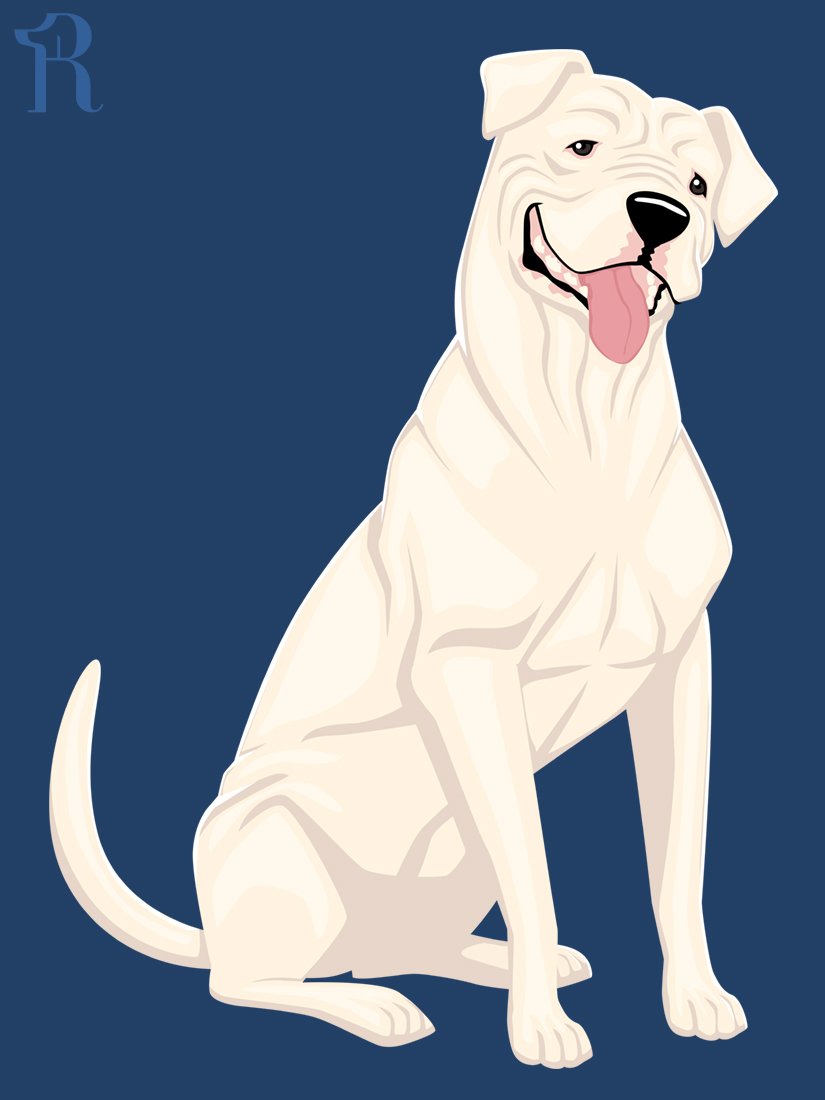 RUFFS Dogo Guatemalteco