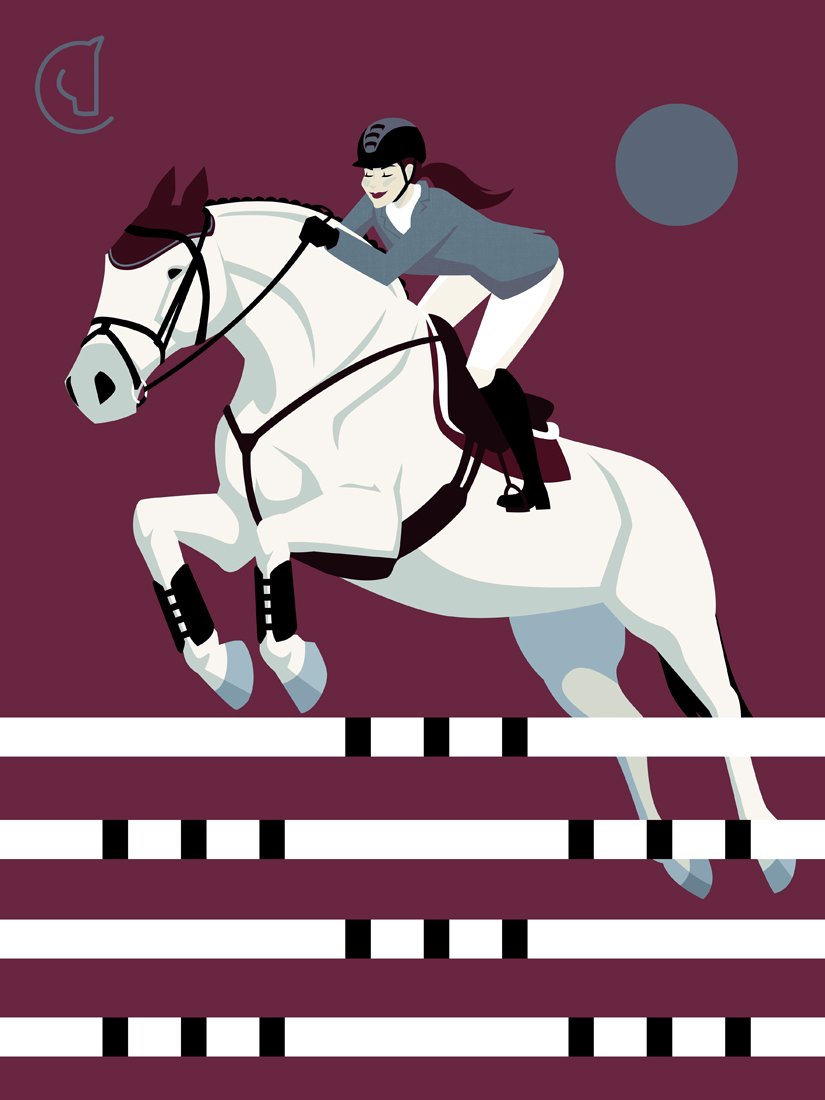 CAPALL - TINTO - Show Jumping