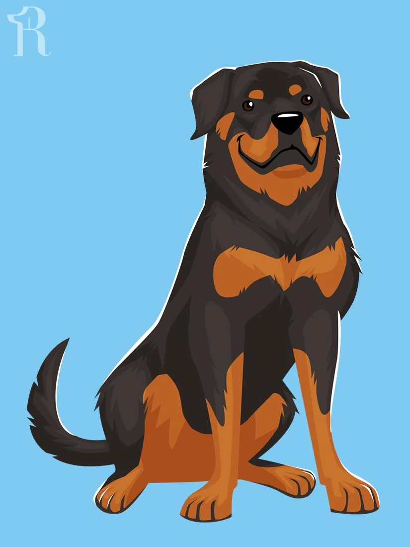 RUFFS Rottweiler