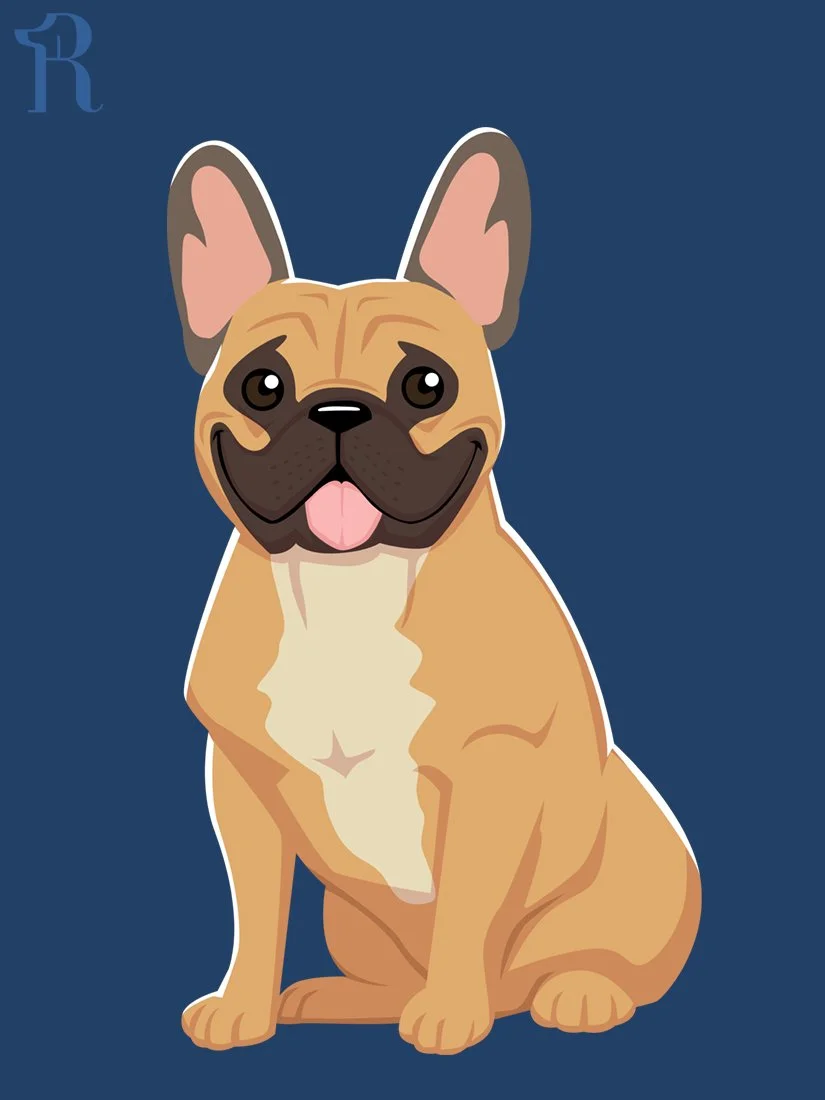 RUFFS French Bulldog