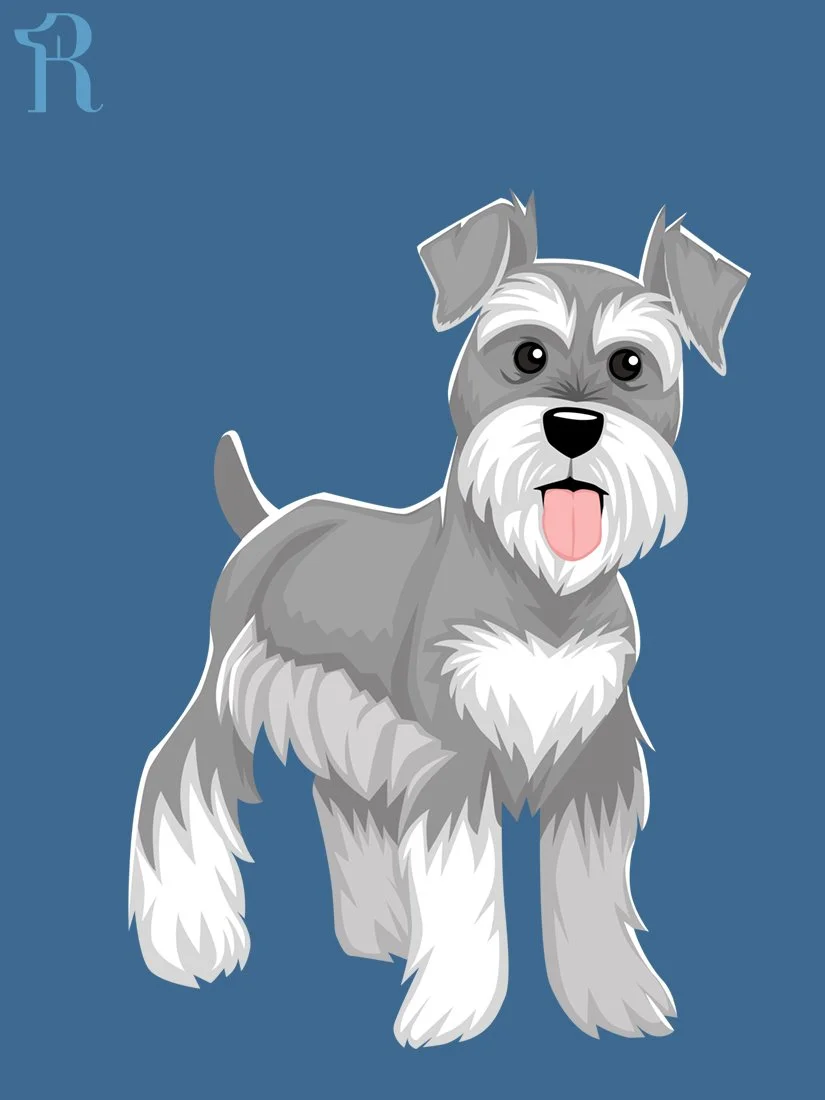 RUFFS Schnauzer