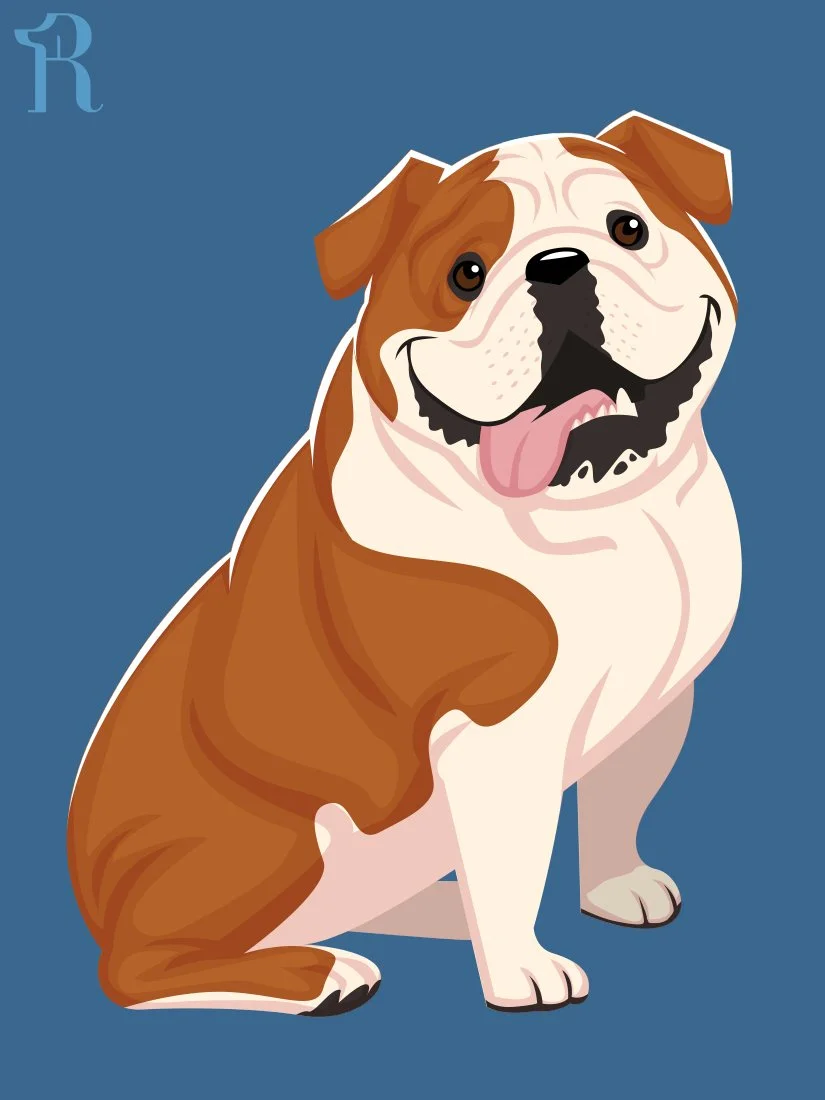 RUFFS Bulldog