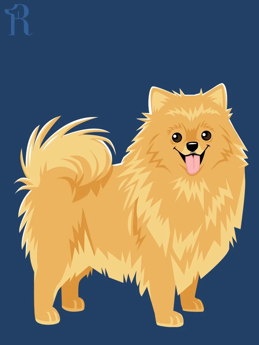 RUFFS Pomeranian