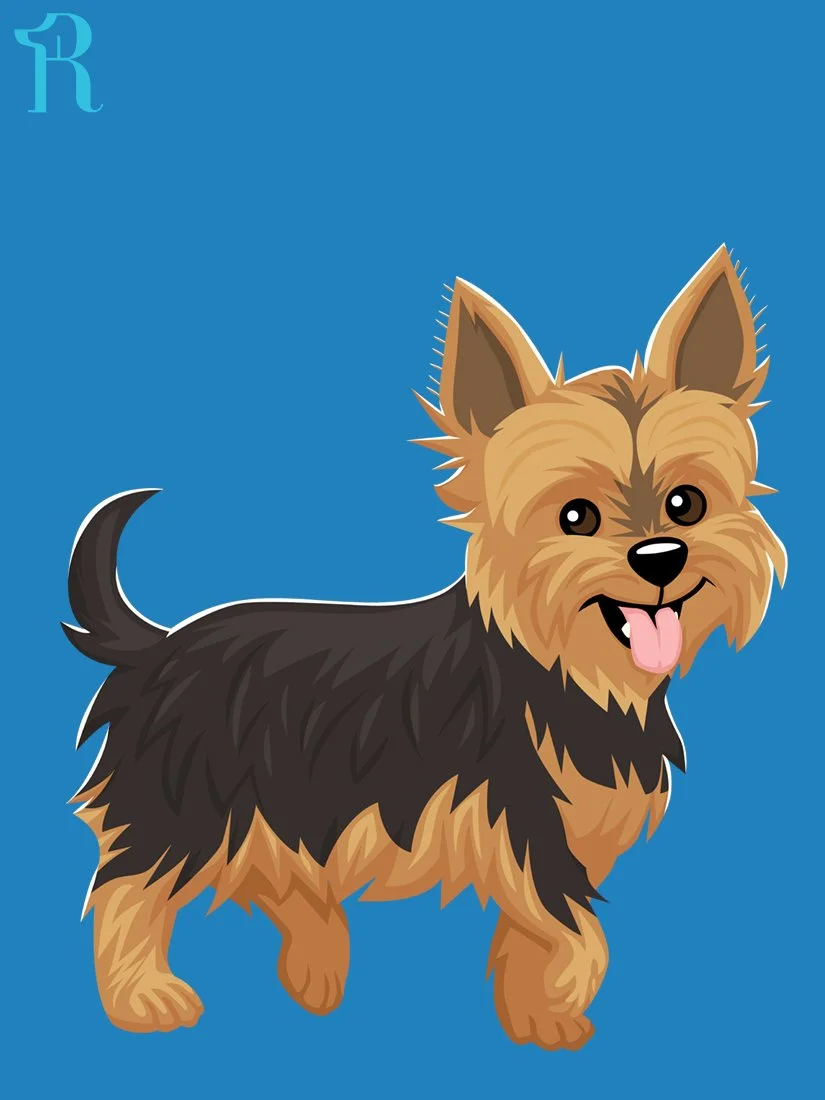 RUFFS Yorkshire Terrier