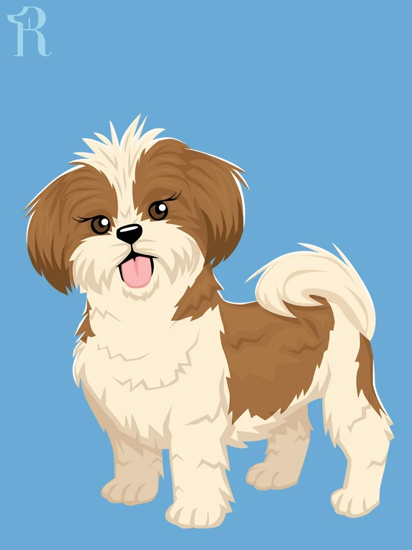 RUFFS Shih Tzu