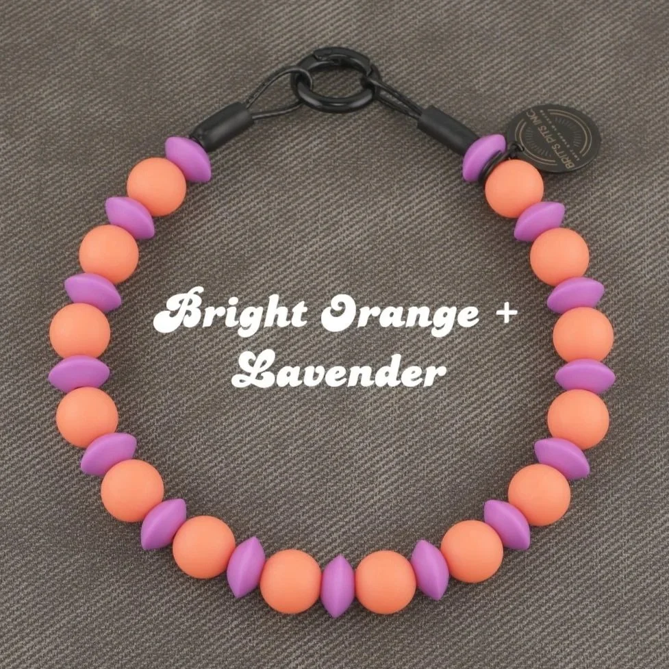 Stylish Custom Beaded Dog Collars and Necklaces for small dogs in bright vibrant colors.  Bundle & SAVE!