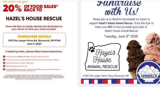 🍔🍦💕 DATE NIGHT FOR A CAUSE 💕🍦🍔