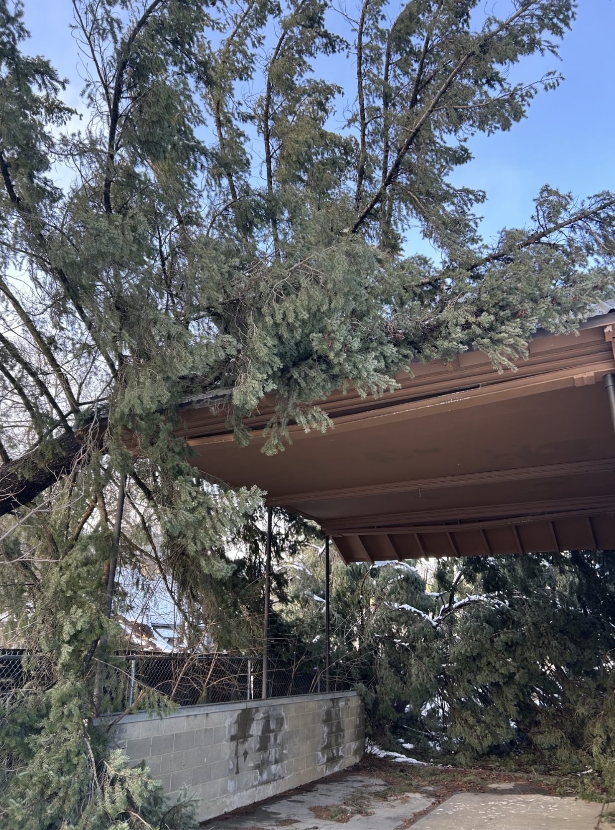 Fallen tree branch on a sidewalk near a building with a brown metal roof.