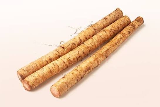 Burdock Root (Gobo) and Your Health