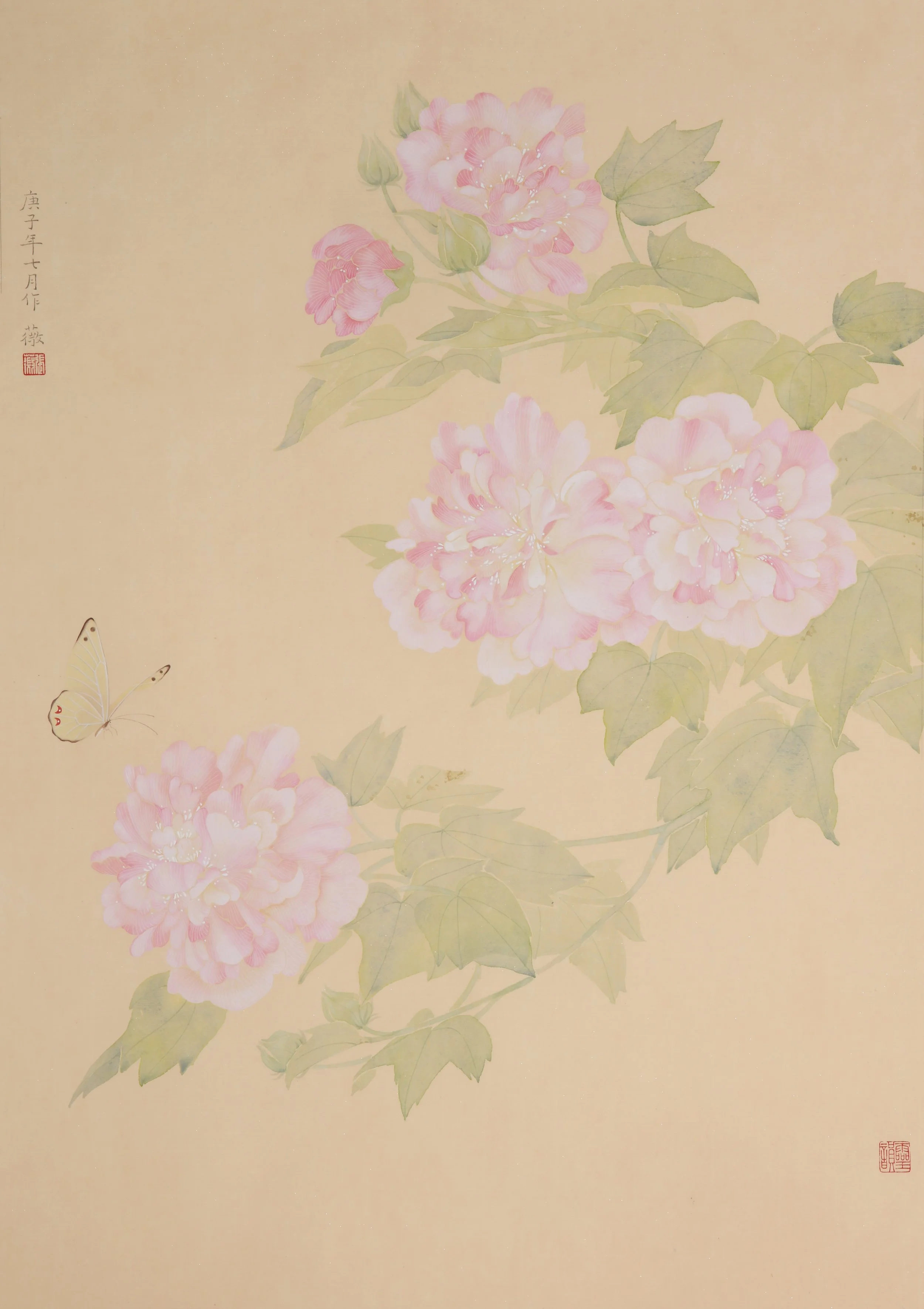 Garden Series - Cotton Rose Ⅰ.jpg