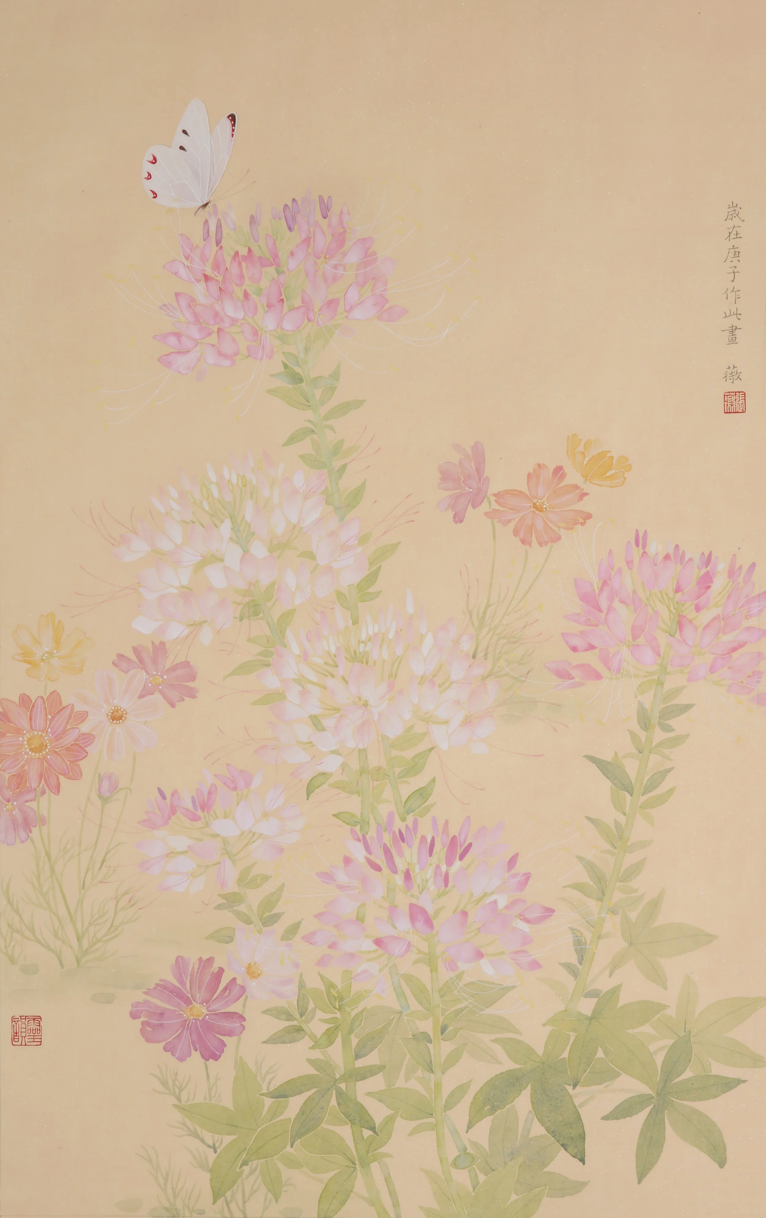 Garden Series - Cleome Ⅱ.jpg
