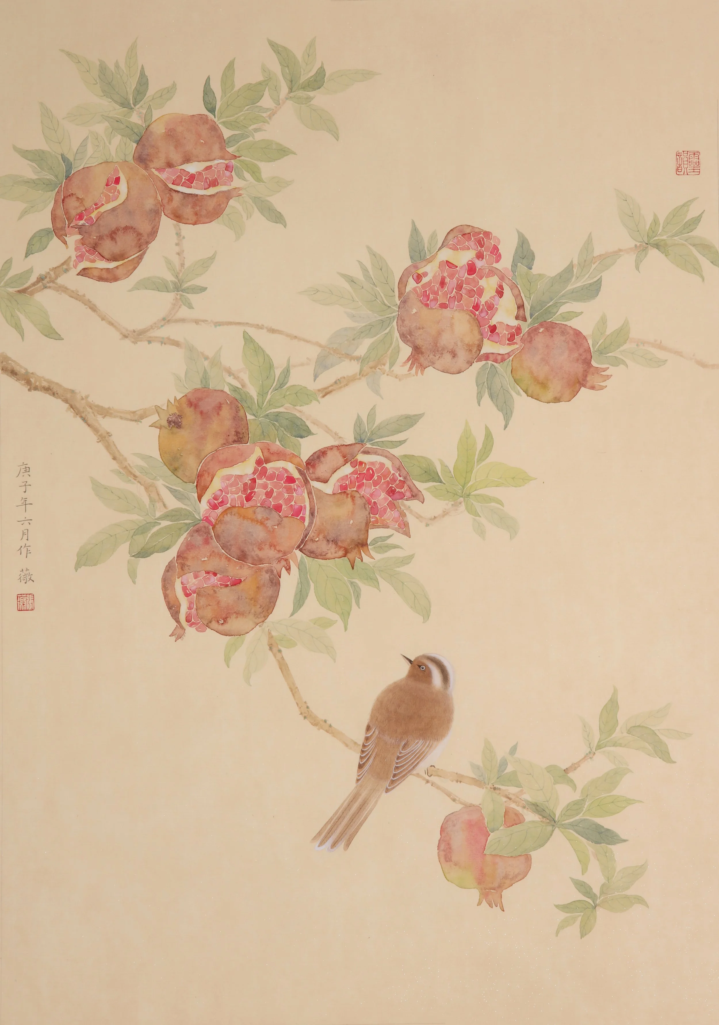 Garden Series - Pomegranate.jpg