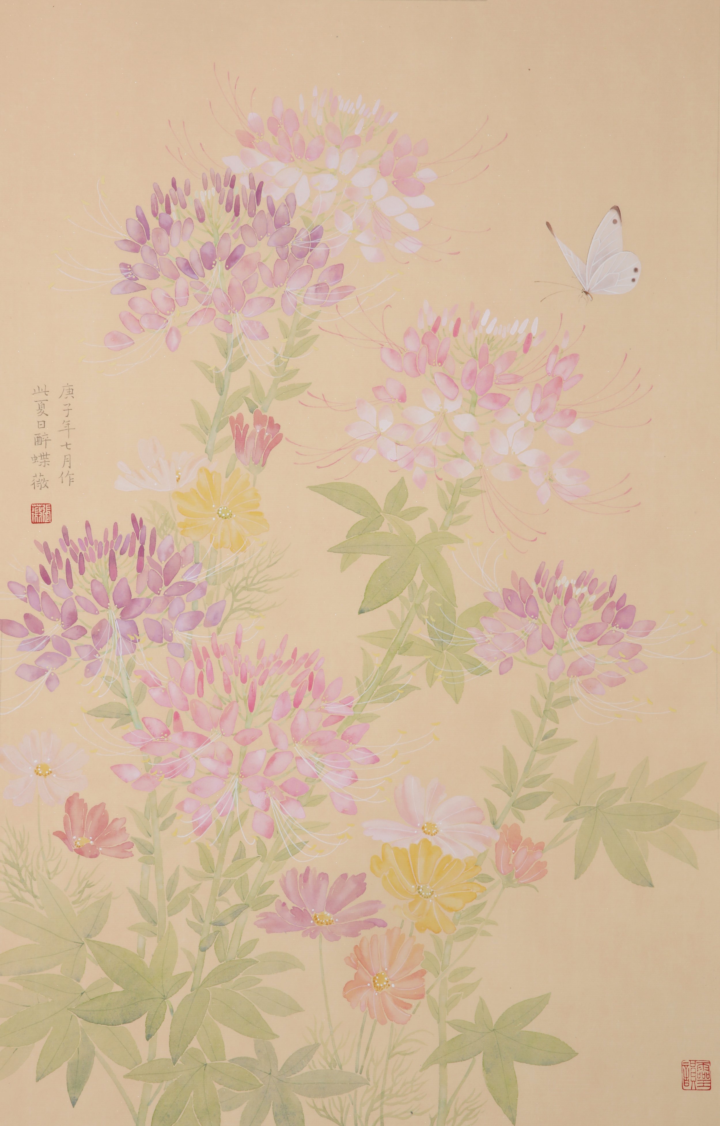 Garden Series - Cleome Ⅰ.jpg
