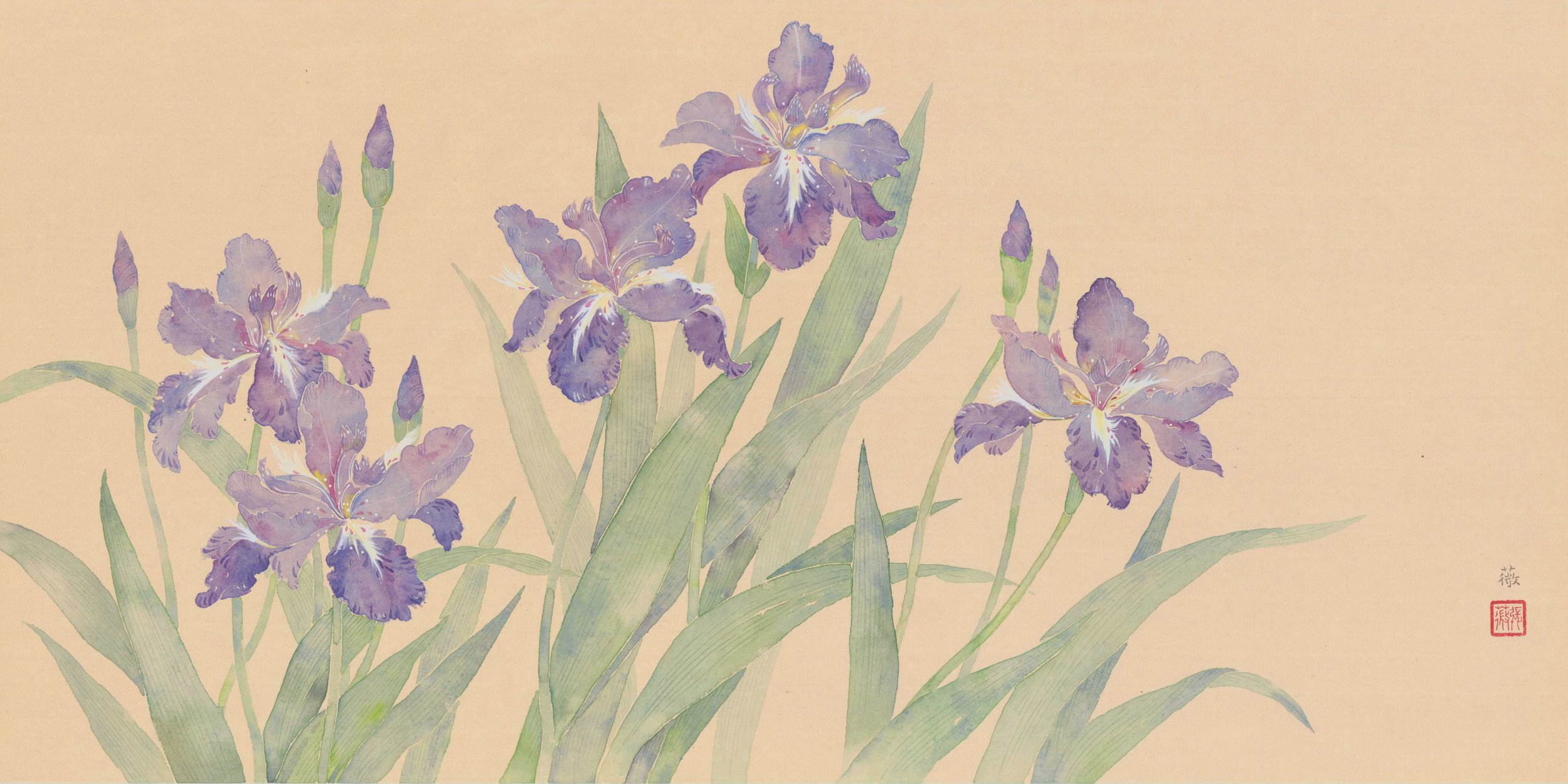 10《鸢尾之一》66x66cm中国画没骨.jpg