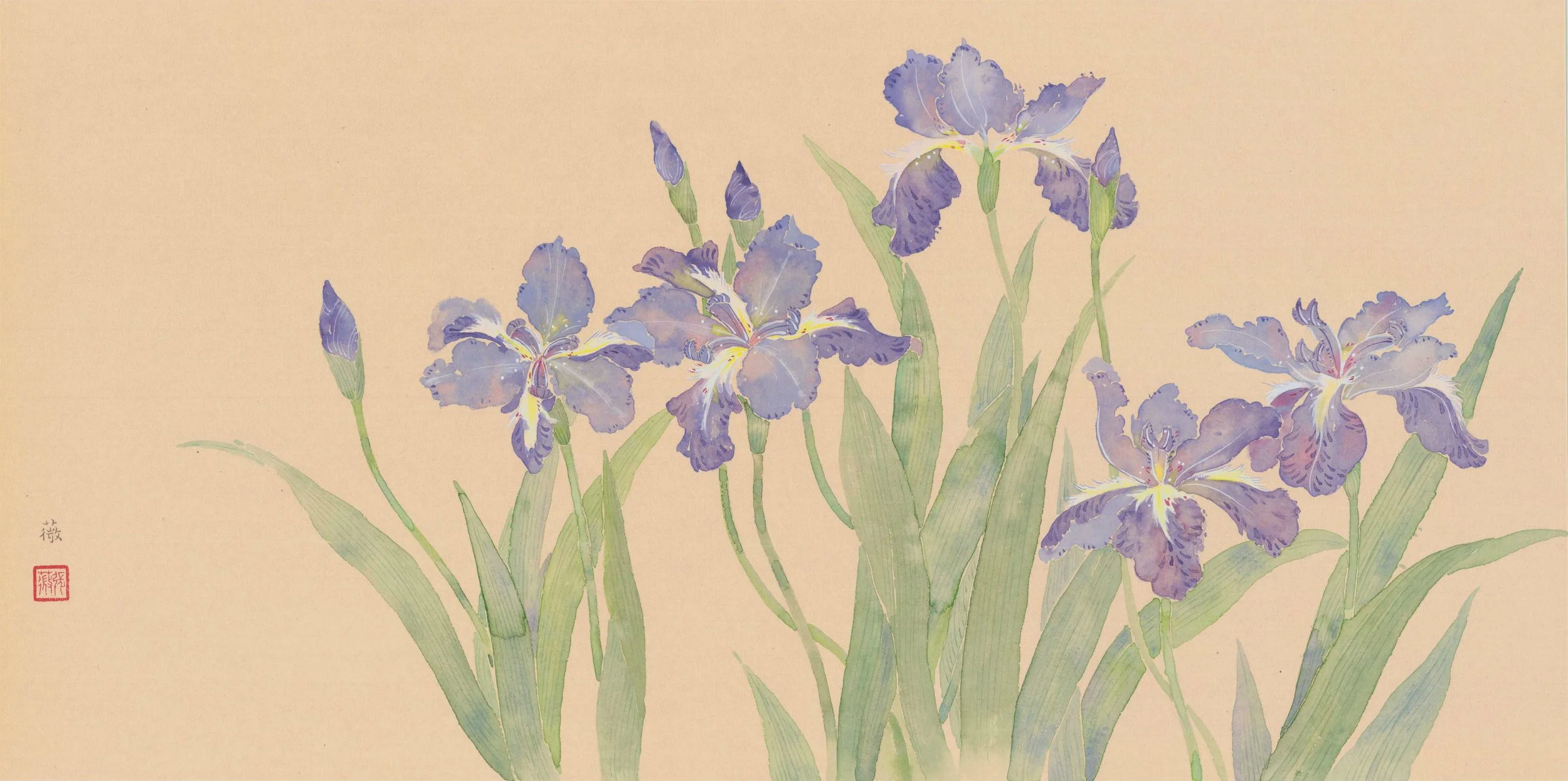 11《鸢尾之二》66x66cm中国画没骨.jpg