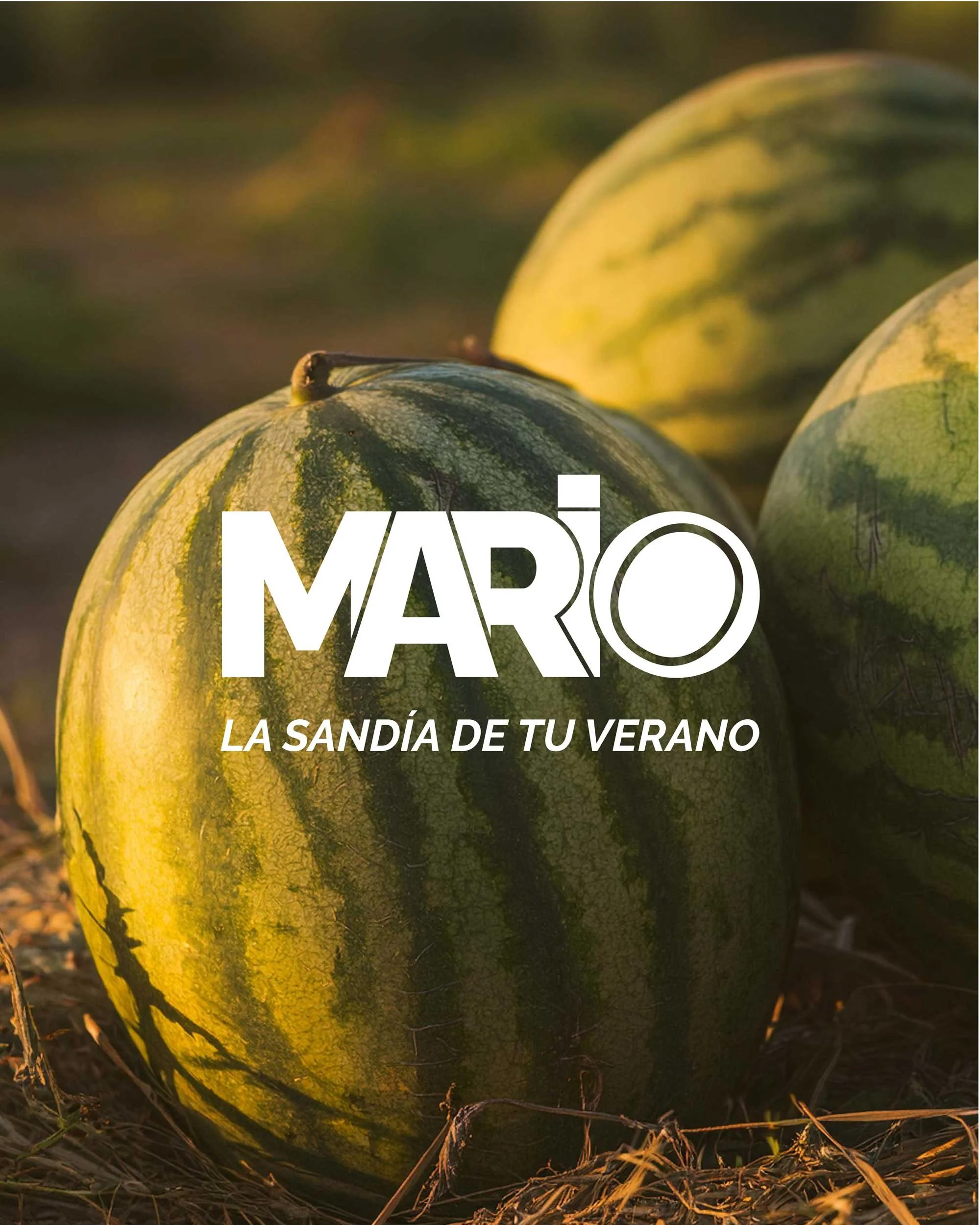 Sandía verde en el suelo con luz cálida y fondo borroso.