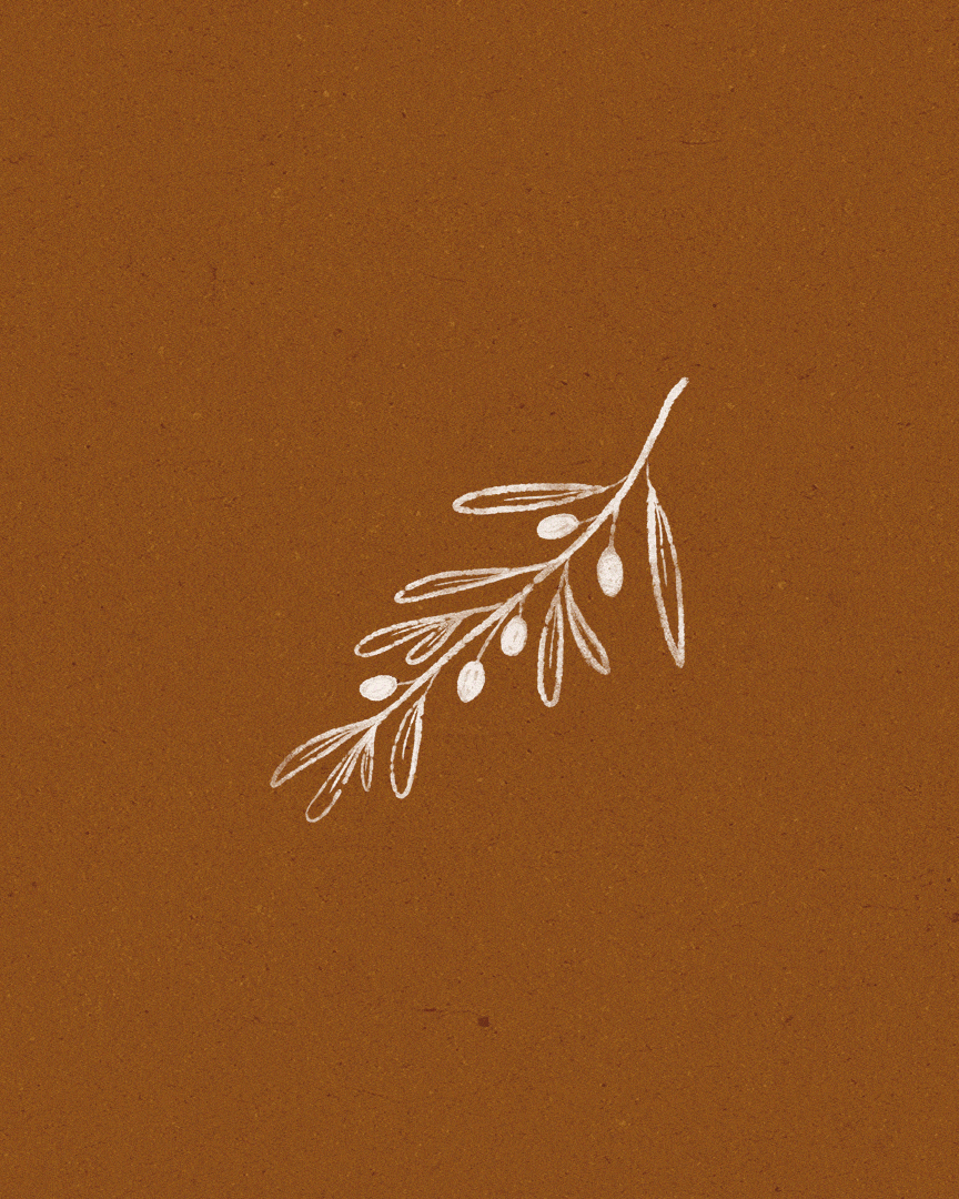 GIF animado que muestra la transición de ilustraciones botánicas hechas a mano para la identidad visual de Meridia.