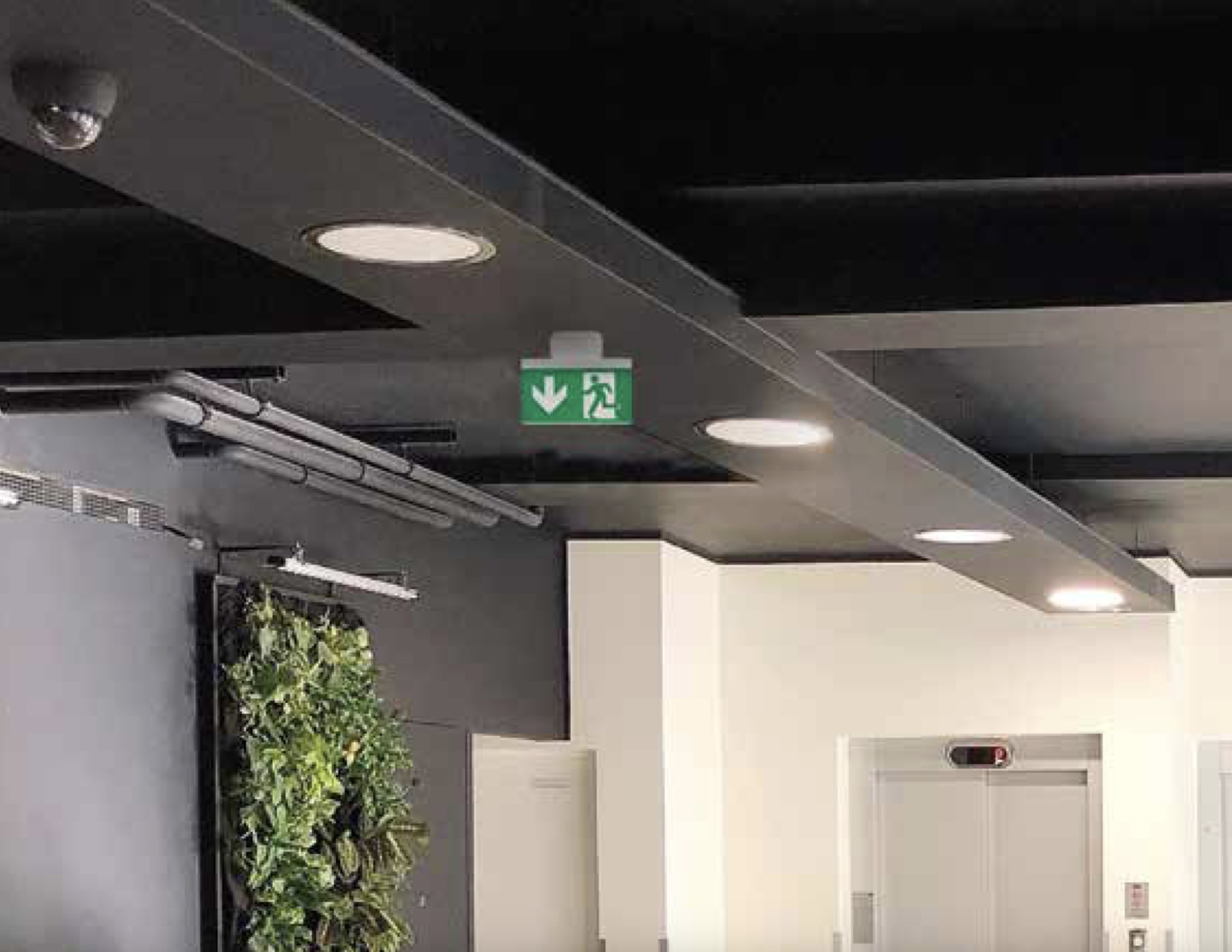 Captura de pantalla 2025-07-04 a las 8.38.45 a. m..png