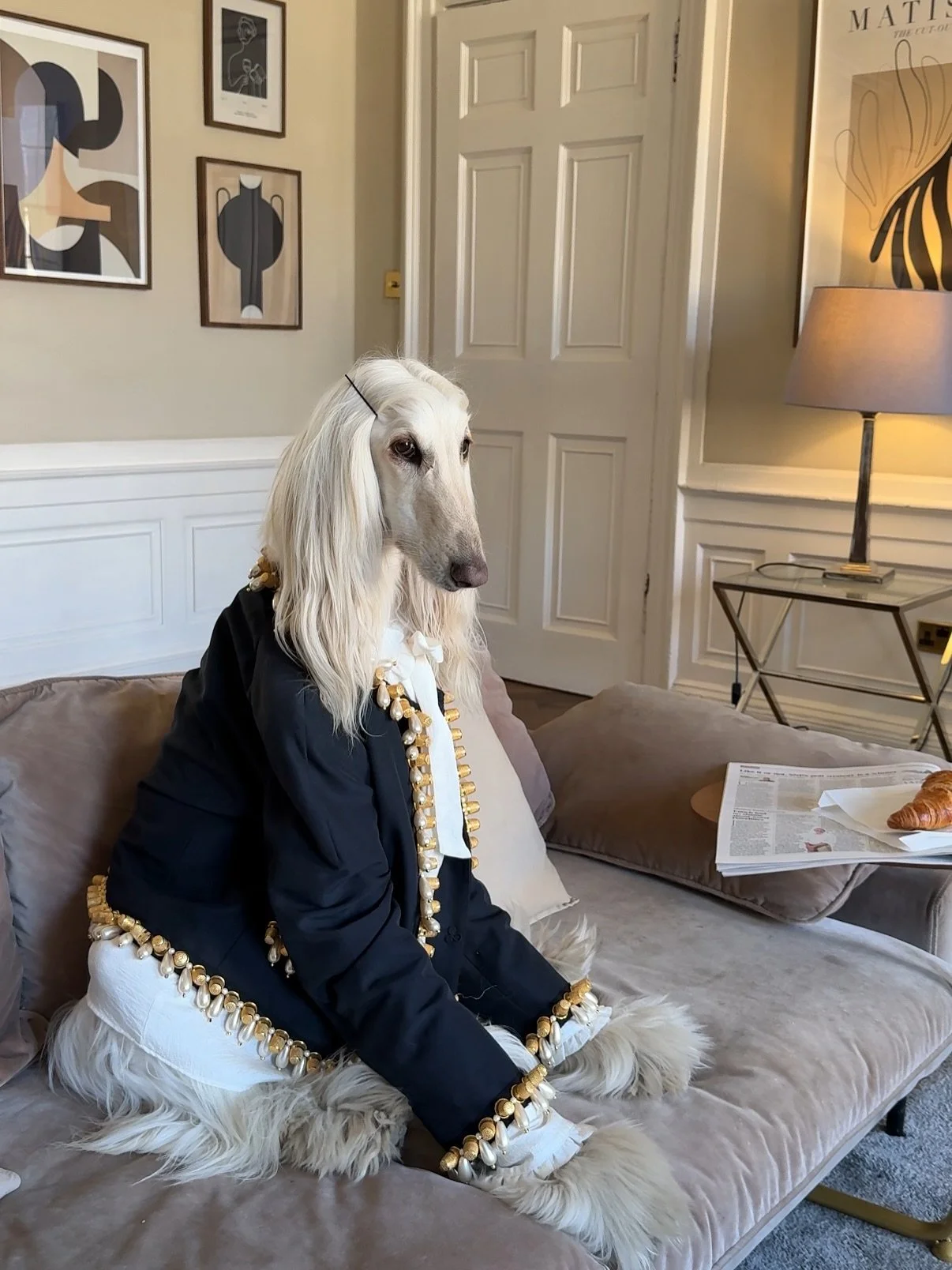 Reading the morning papers (in vintage Moschino) 

#AfghanHound #Croissant #LuxuryFashion #VintageStyle #ItalianDesigner #InteriorDesign #Sighthound