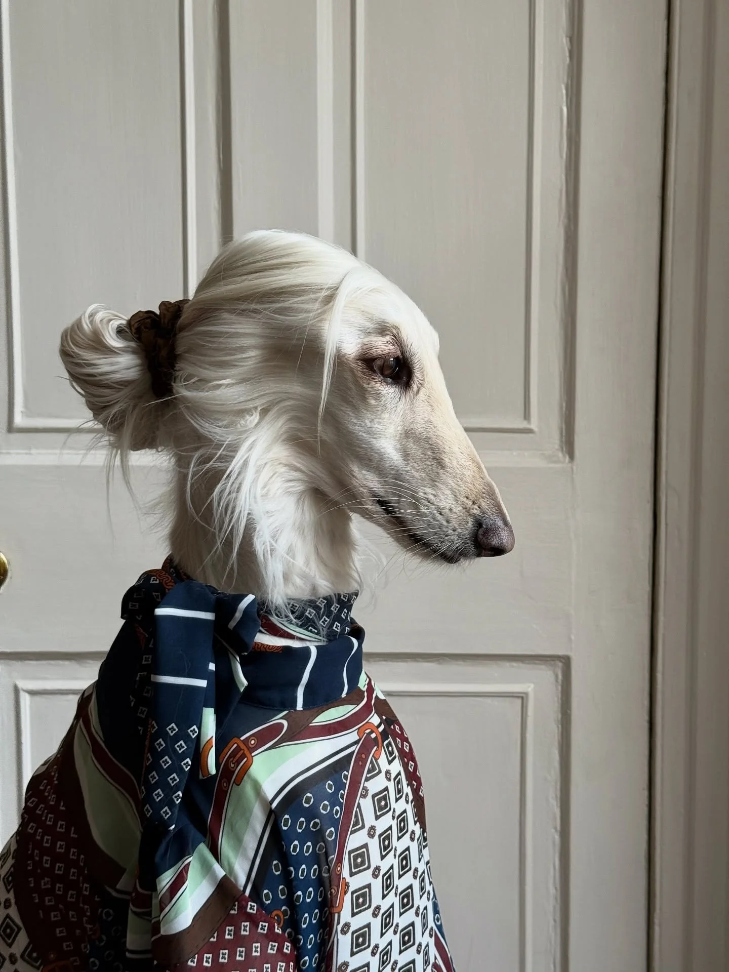 Feeling mindful (and contemplating a martini)

#AfghanHound #AutumnStyle #DressedUp #InteriorDesign #FashionGirlie #Edinburgh