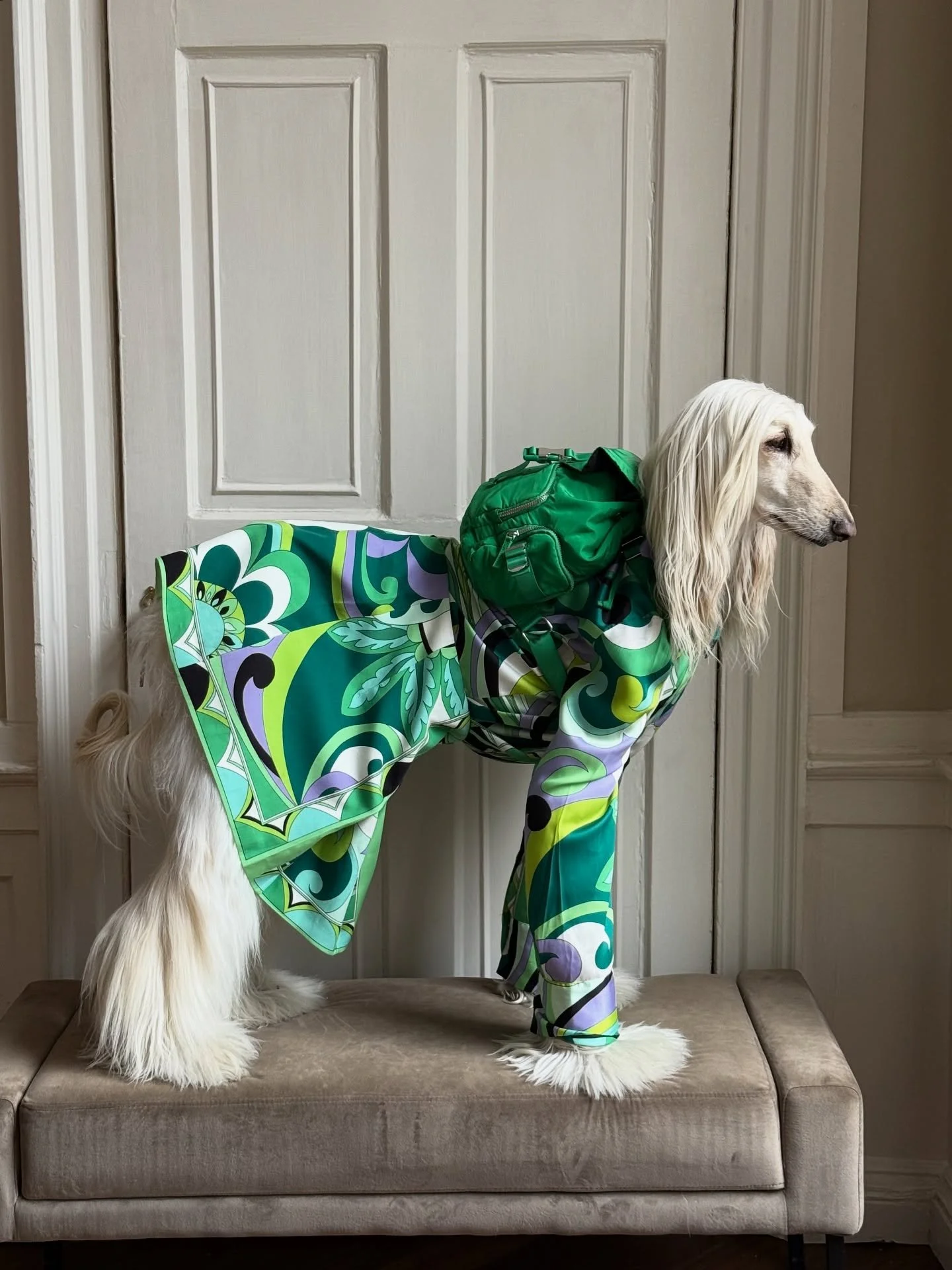 When he asks if you&rsquo;re outdoorsy (you are, as long as it&rsquo;s fashionable)

#AfghanHound #OutdoorsyGirl #HikingOutfit #FashionGirlie #InteriorDesign #GreenAccessories #BoldPrints