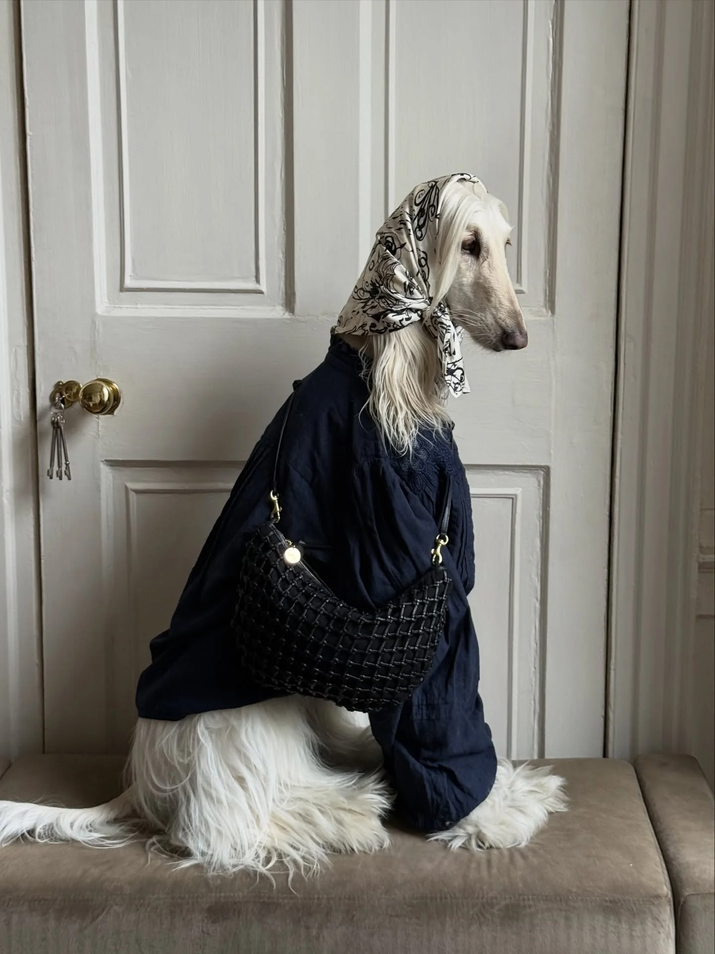 It&rsquo;s a casual Friday (but your plans are far from low-key)

#AfghanHound #AutumnStyle #Headscarf #CasualFriday #FashionGirlie #InteriorDesign