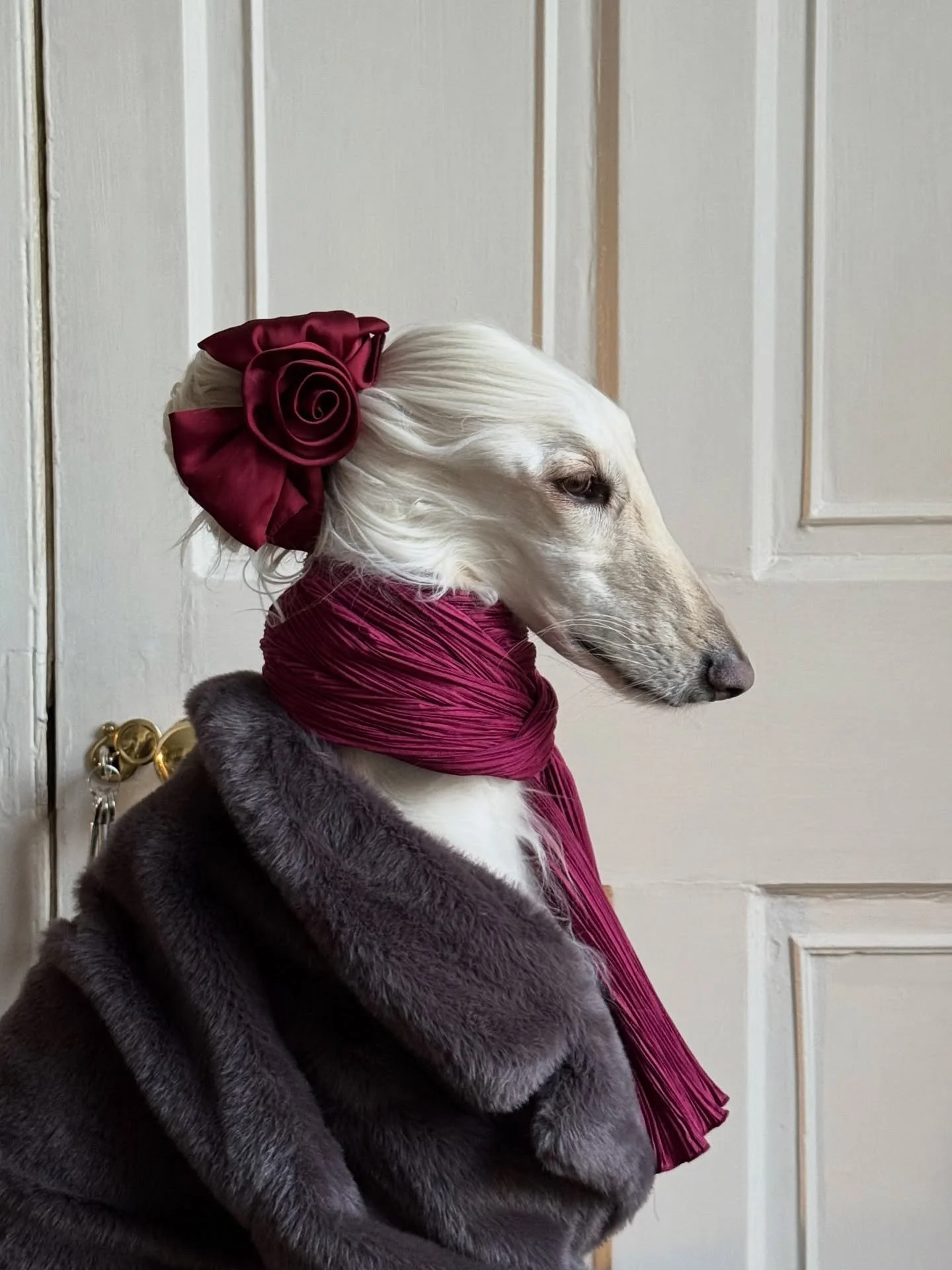 When he asks if you like ballet (and you were the prima ballerina)

#AfghanHound #BalletCore #FurCoat #WinterStyle #FashionGirlie #Burgundy #InteriorDesign