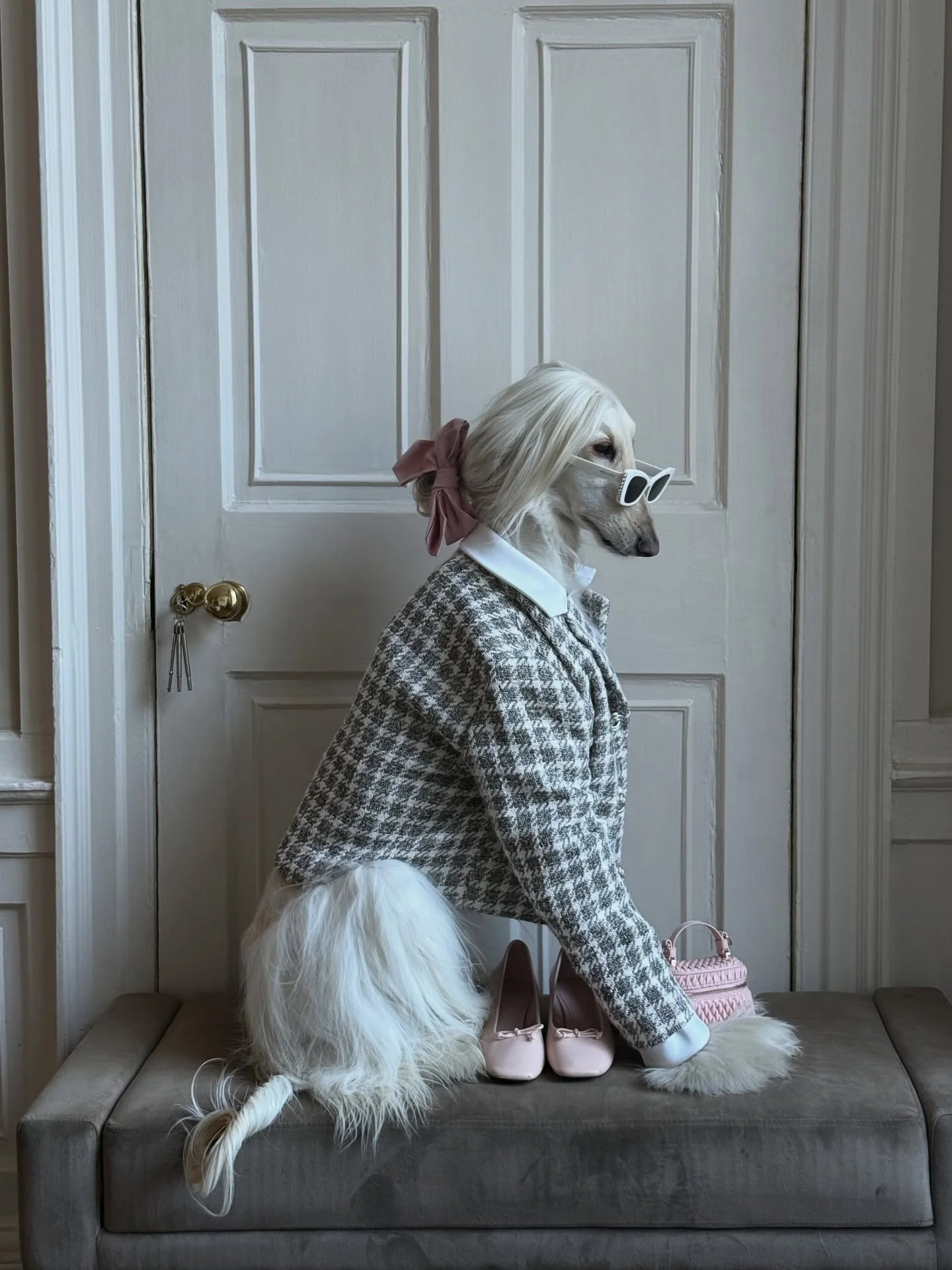 When they ask if you&rsquo;d like to invest (and you&rsquo;ve already invested twice)

#AfghanHound #ClassicStyle #ElegantFashion #Tweed #Blazer #BabyPink #AutumnLook #InteriorDesign