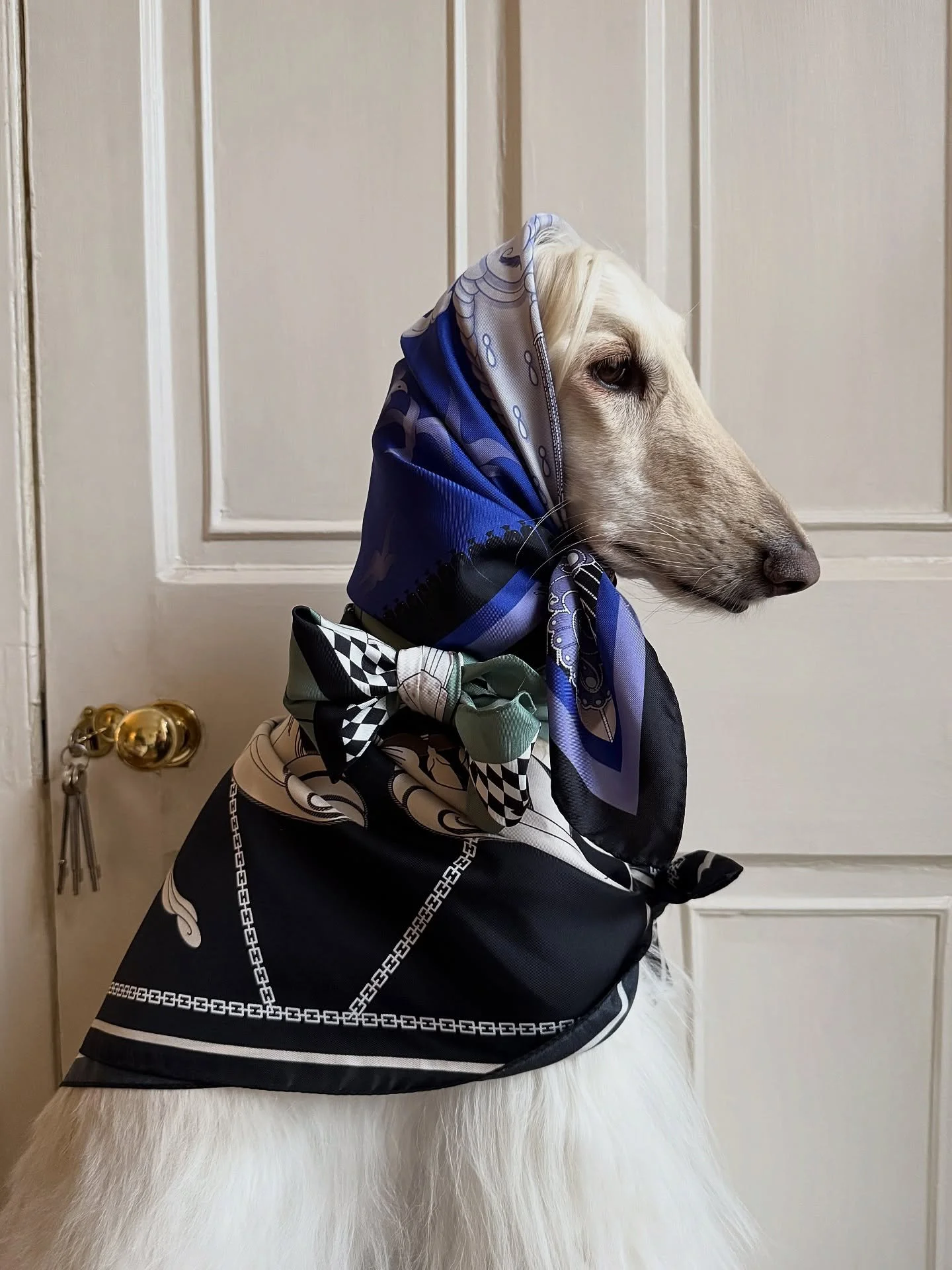 Pick your poison (or choose all three)

My scarves were kindly gifted by @silkologie.official 

#AfghanHound #SilkScarf #Headscarf #AutumnStyle #ElegantFashion #InteriorDesign #SilkPrint