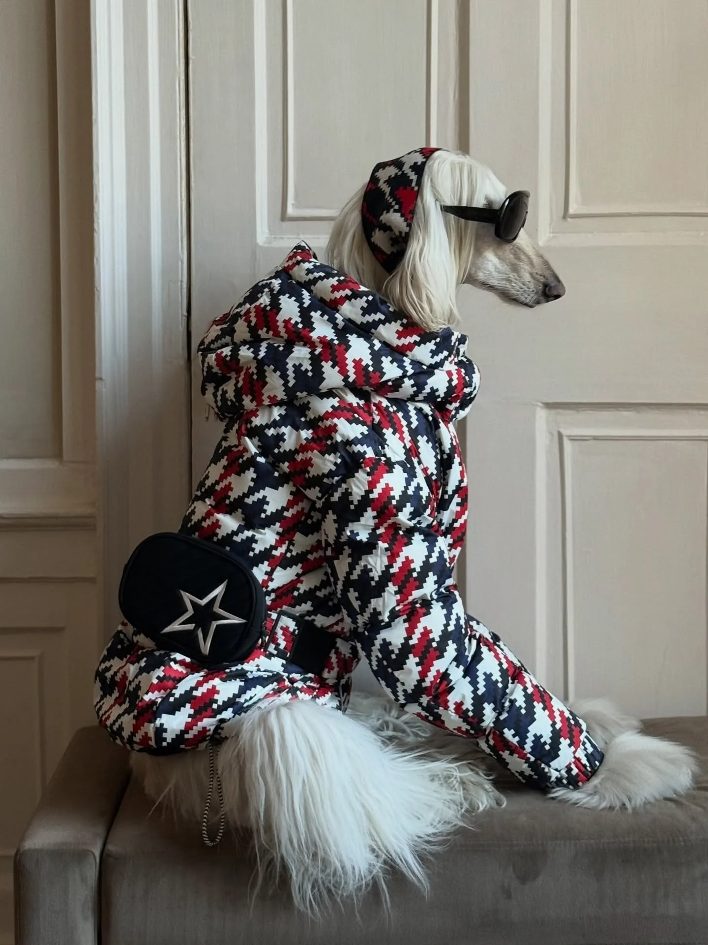 Gstaad or Chamonix? (You pick, I&rsquo;ll bring the style) 

My fit was kindly gifted. 

#SkiSeason #Apr&egrave;sSki #SkiOutfit #WinterFashion #AfghanHound #InteriorDesign