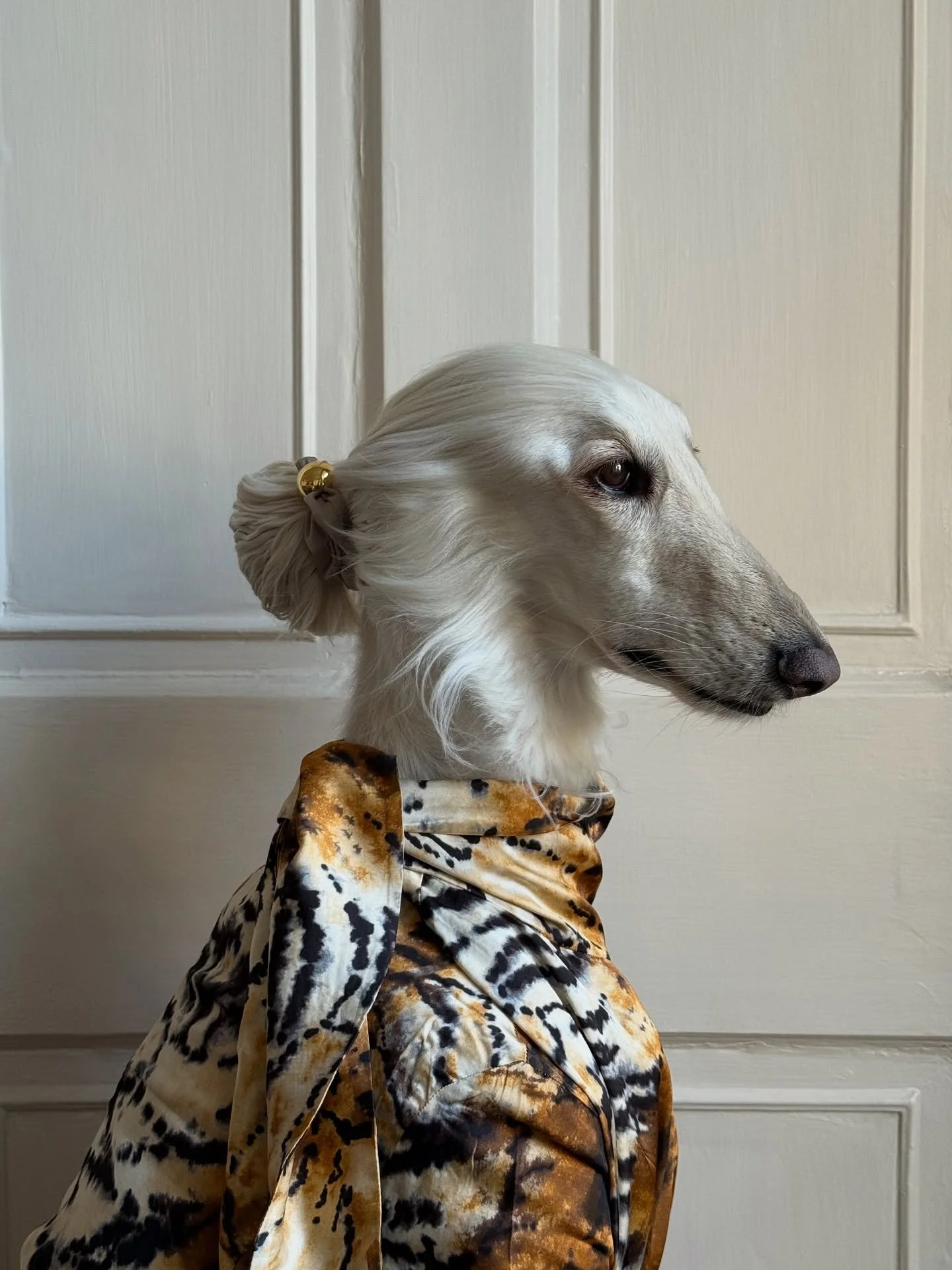 When the girls ask if you&rsquo;re ready to go dancing (you&rsquo;ve been ready for years)

#AfghanHound #AnimalPrint #PartyOutfit #SatinDress #FashionGirlie #ElegantStyle