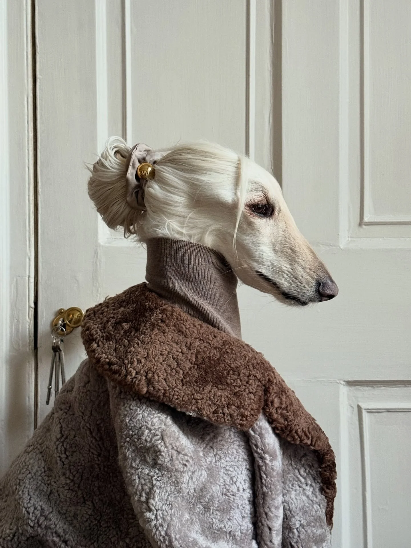 Feeling vintage (in fashion, not age)

#AfghanHound #VintageFashion #WinterCoat #LuxuryStyle #InteriorDesign