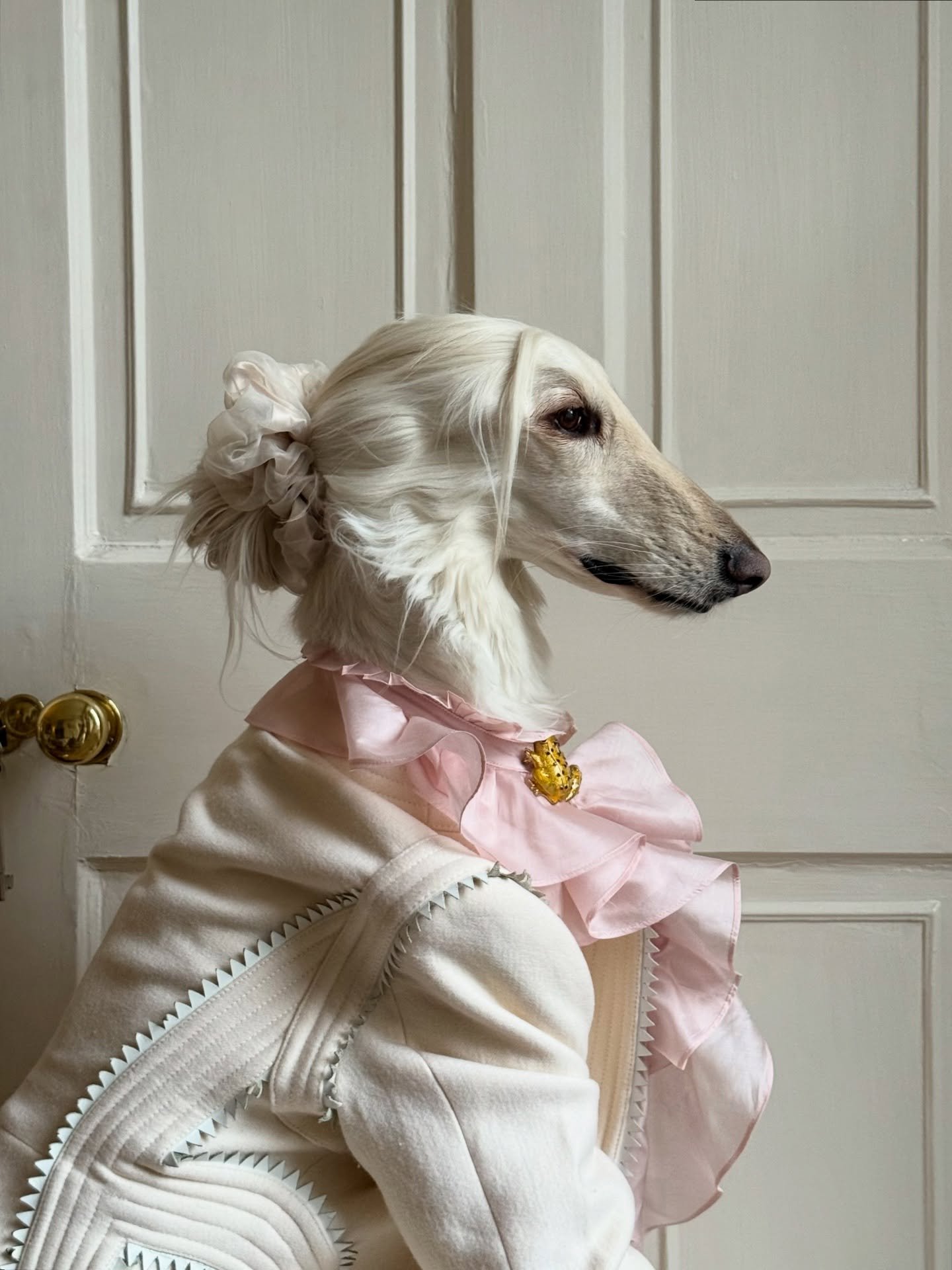 Lady of the manor (living in the city) 

#AfghanHound #RegencyCore #LuxuryStyle #VintageFashion #InteriorDesign