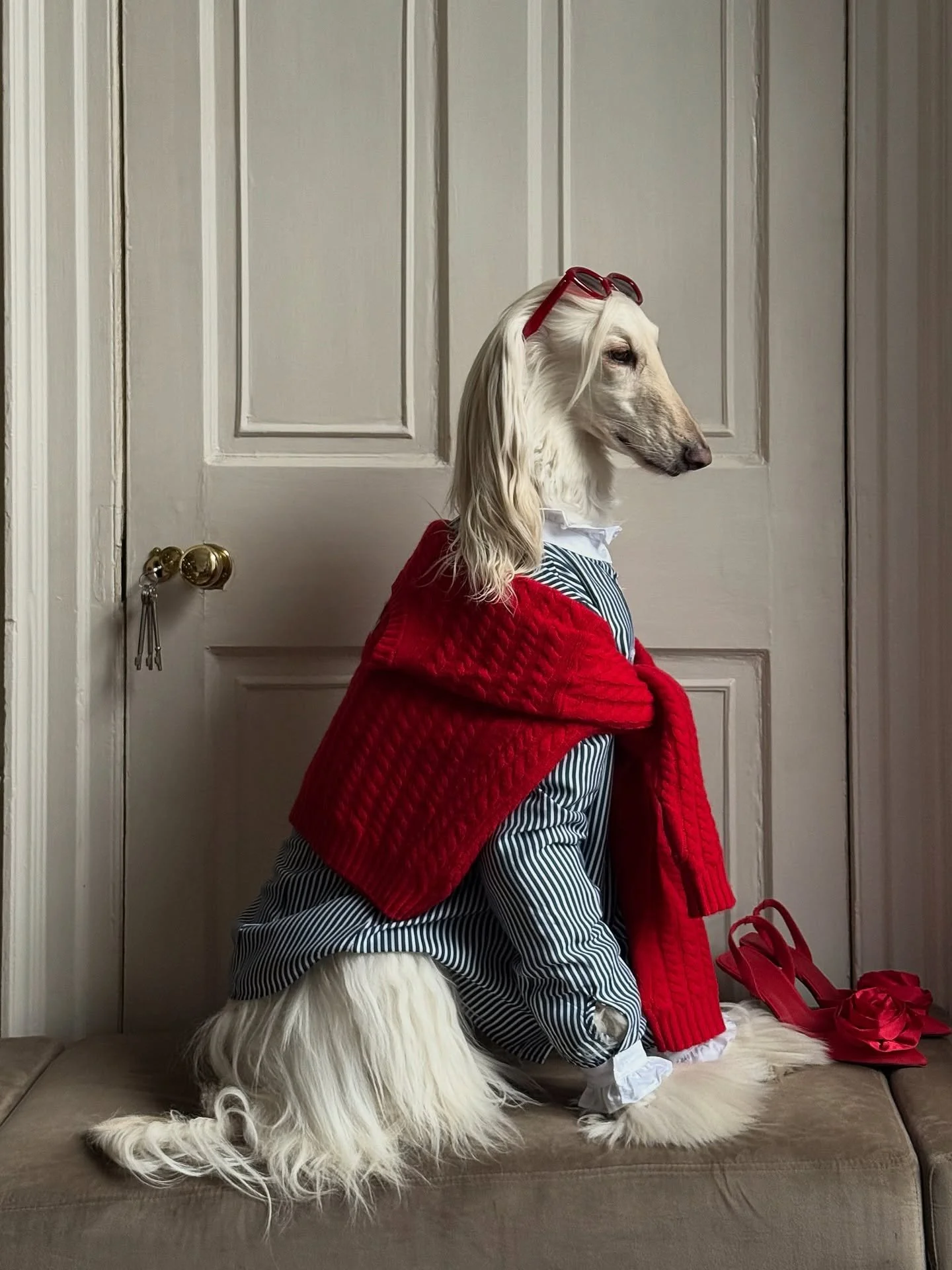 Tree is up (festive accessories slaying too) 

#AfghanHound #PreppyFashion #ChristmasOutfit #InteriorDesign #QuietLuxury