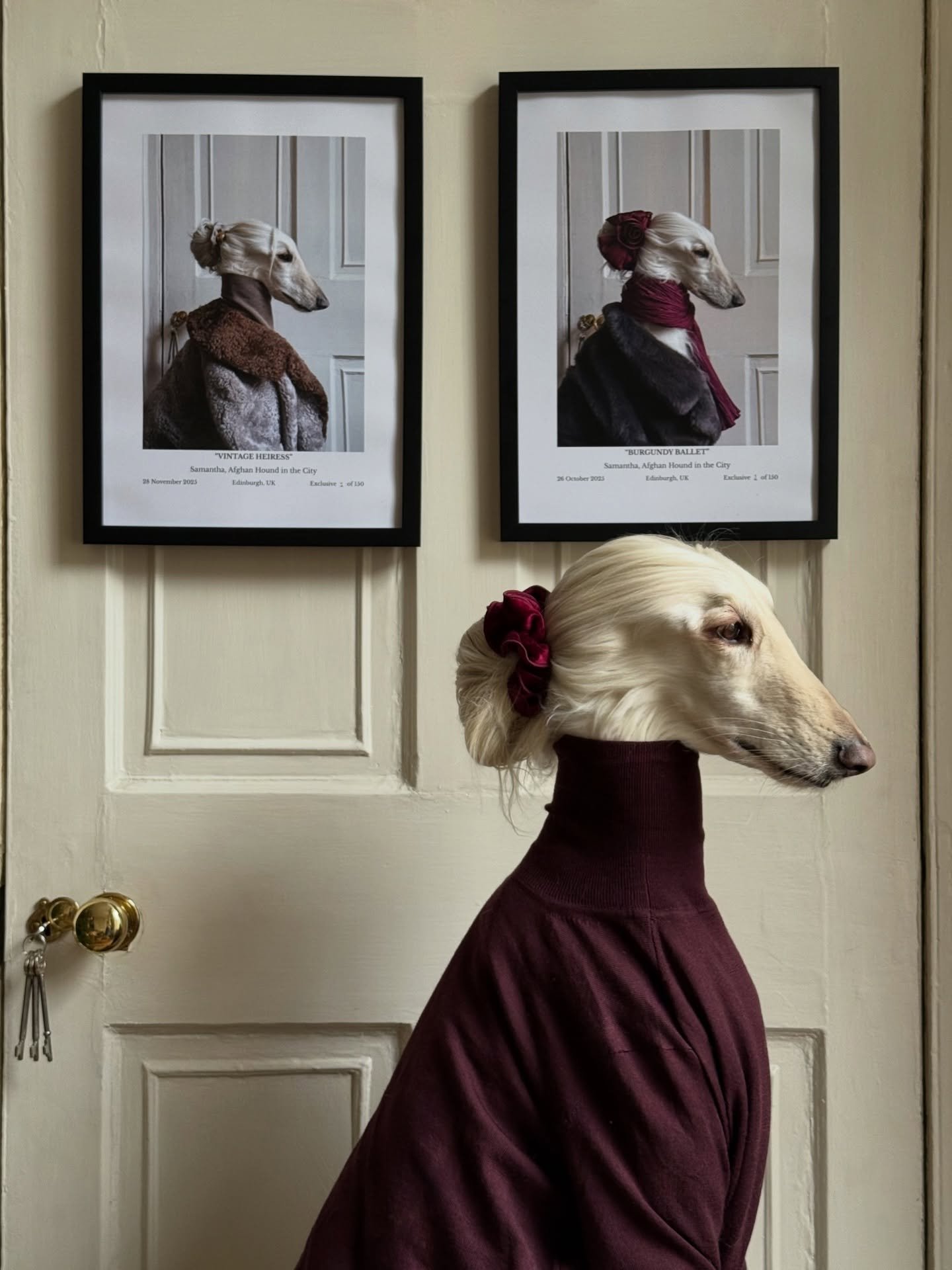 Entering my living muse era (with 150 hand-numbered, collectible prints) 

Check my bio to make one yours. 🤍

#AfghanHound #Art #LivingMuse #InteriorDesign #LuxuryFashion