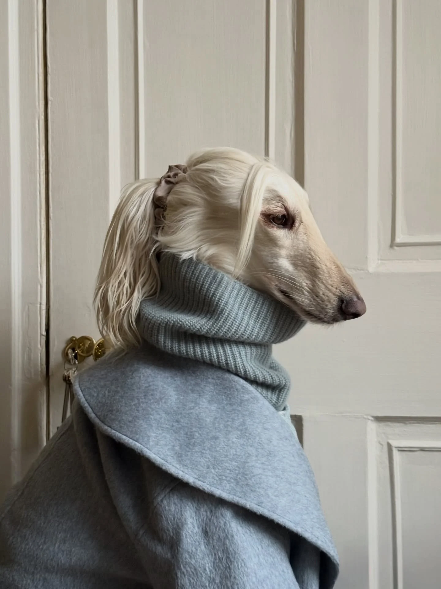 Ready for a frosty weekend (with this icy fit)

#AfghanHound #Knitwear #WoolCoat #WinterFashion #InteriorDesign