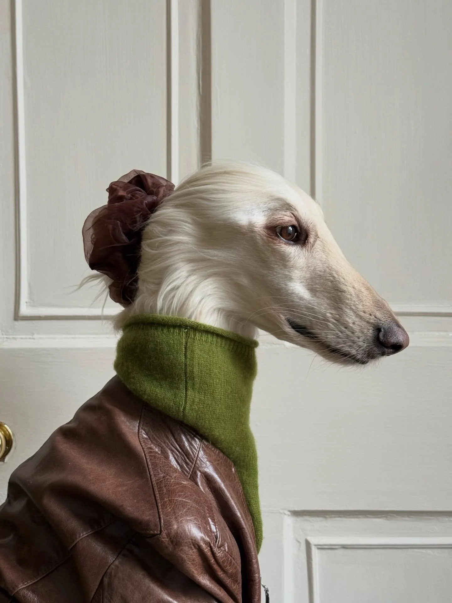 Espresso energy (Vespa pending)

#AfghanHound #LeatherJacket #EuropeanStyle #ItalianFashion #InteriorDesign