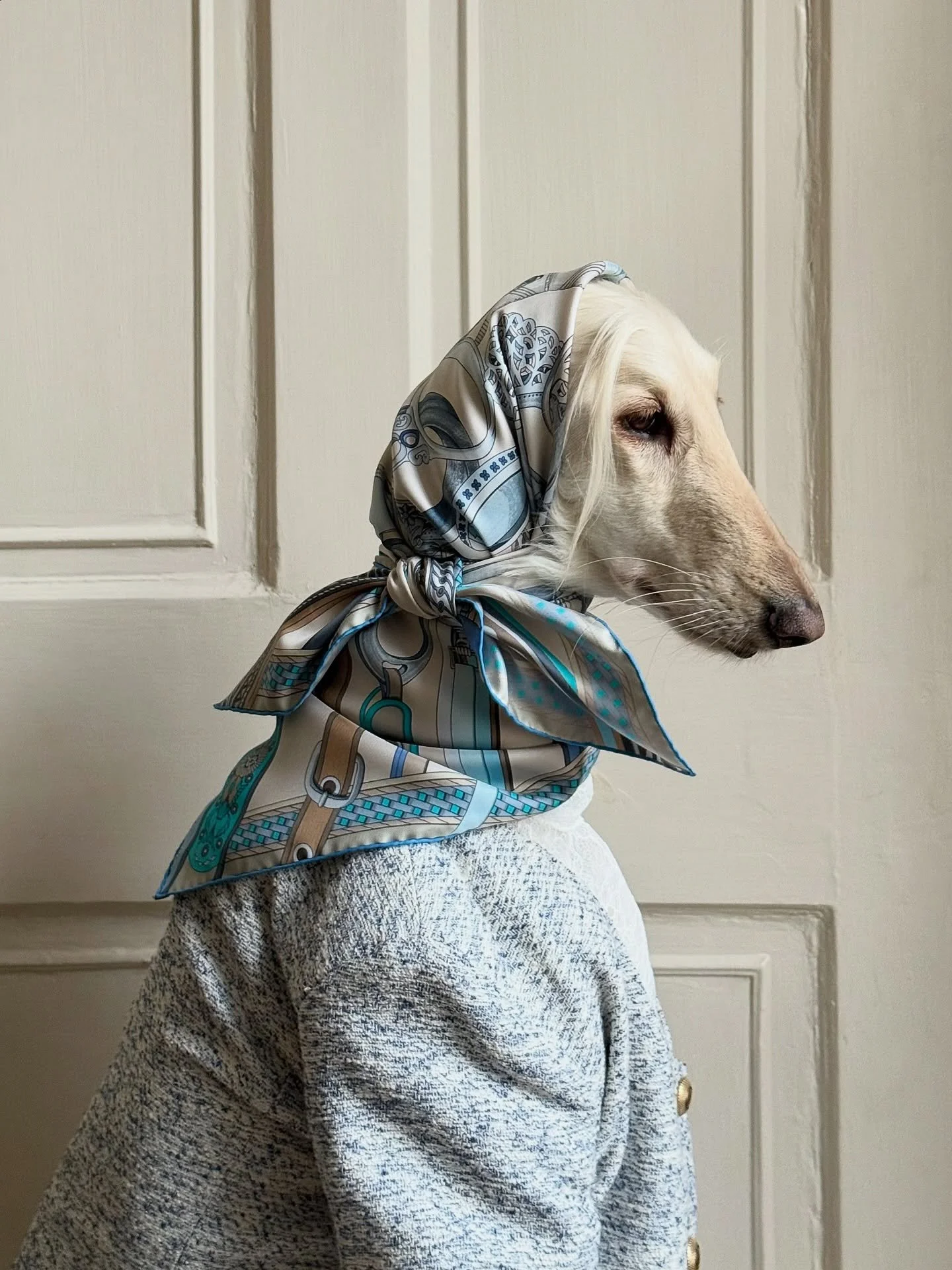 Afternoon lunch with the girls (spilling lots of tea)

#AfghanHound #SilkScarf #OldMoney #LuxuryFashion #InteriorDesign