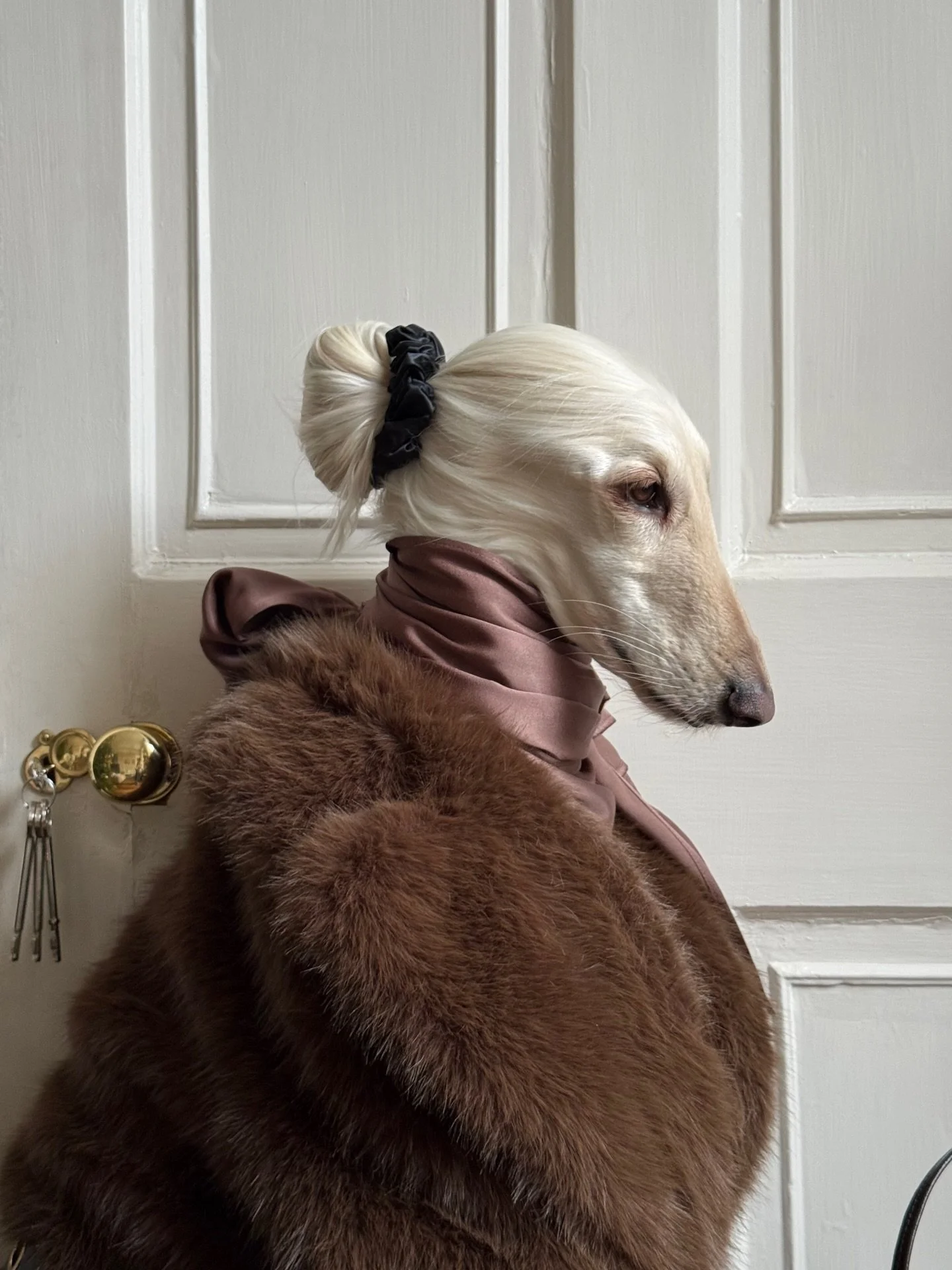 AD | All dressed up and ready for New Year&rsquo;s Eve with @johnlewis partywear. Chocolate satin, fluffy furs
and a little drama.

#TrendingatJL #JohnLewis #AfghanHound #NYE