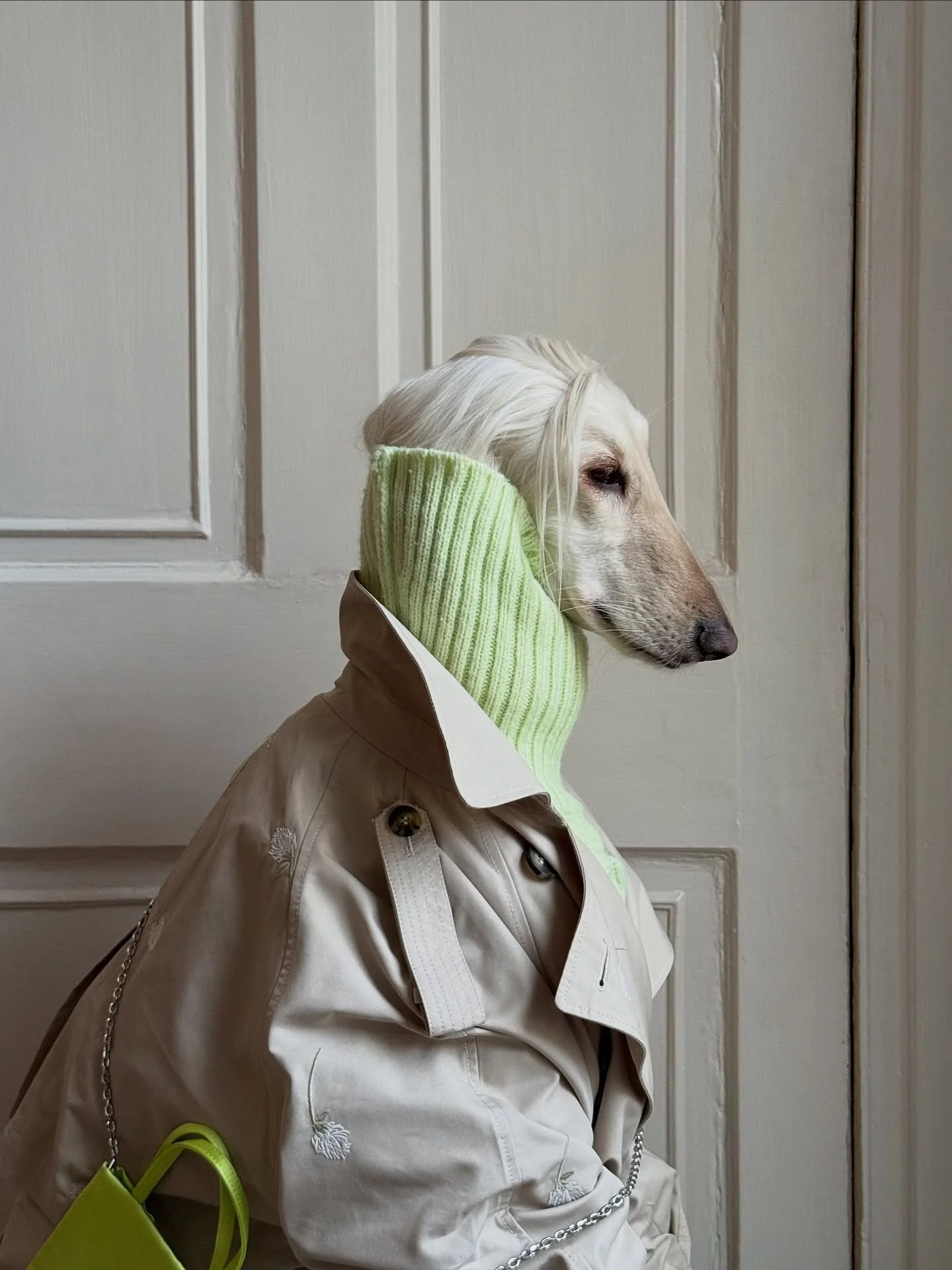 Feeling windswept (and interesting)

#AfghanHound #TrenchCoat #CableKnit #WinterStyle #InteriorDesign