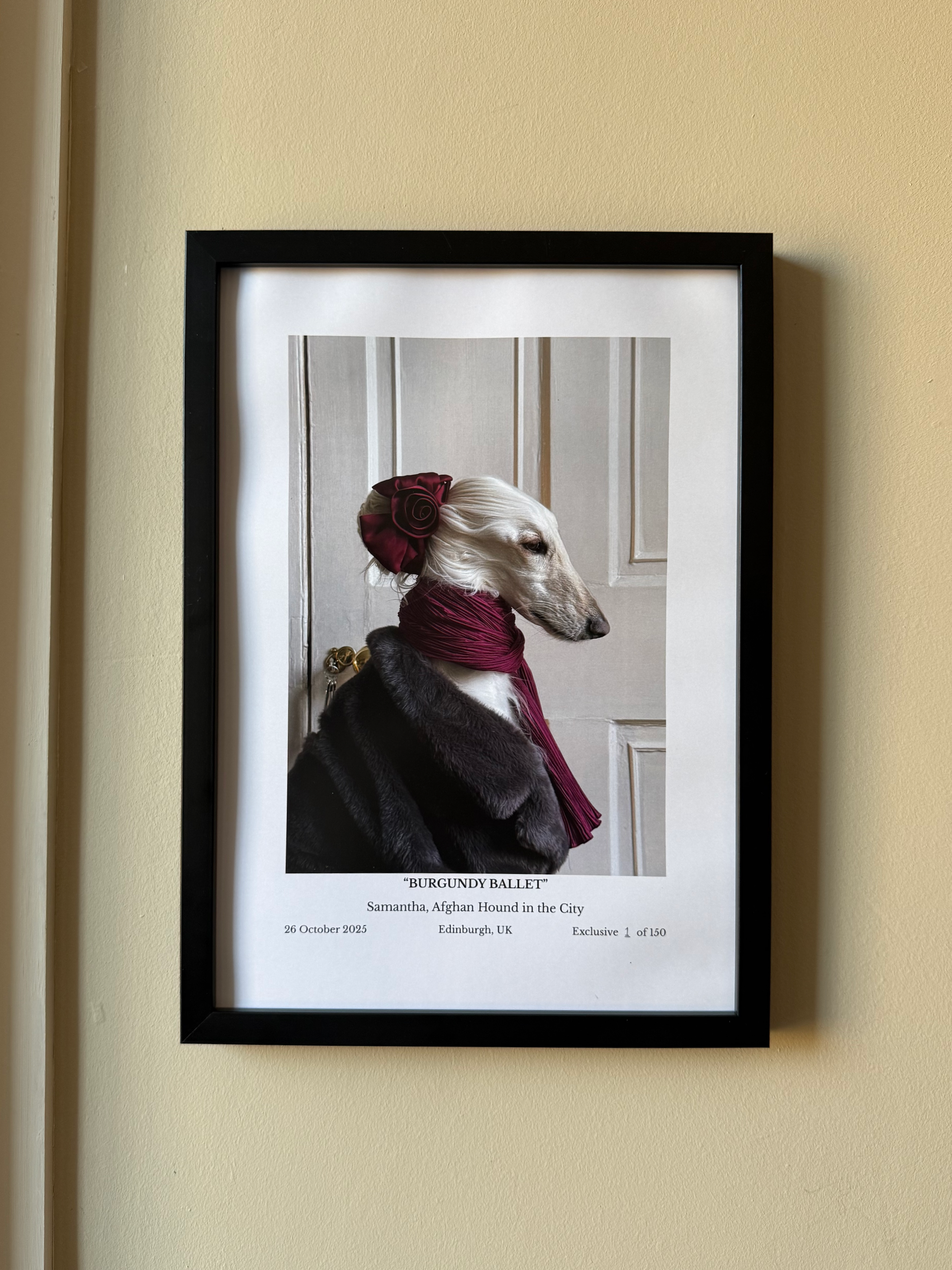 “Burgundy Ballet” Limited Edition A3 Fine Art Photograph (150 Worldwide)