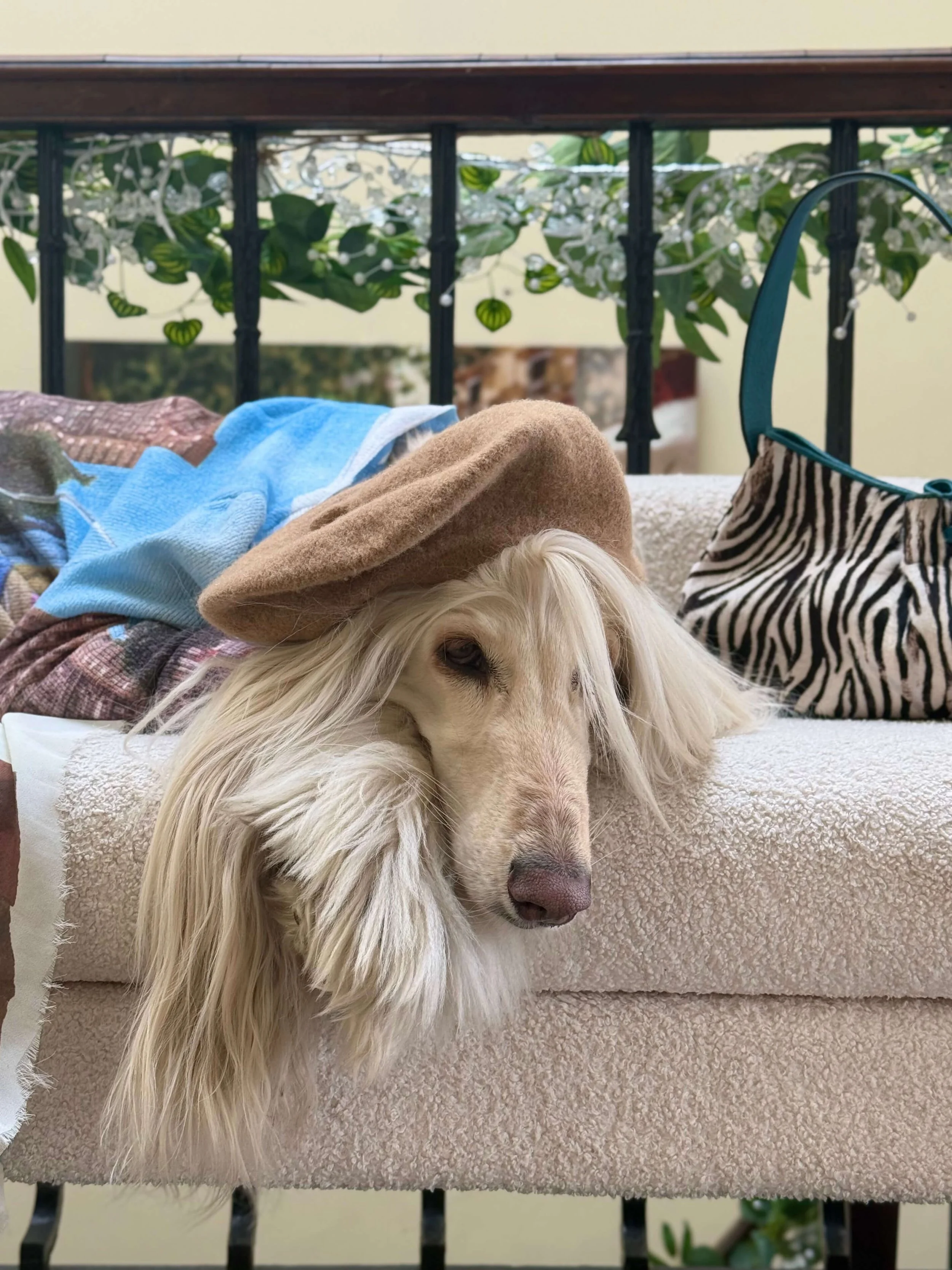 Samantha relaxing on a bench